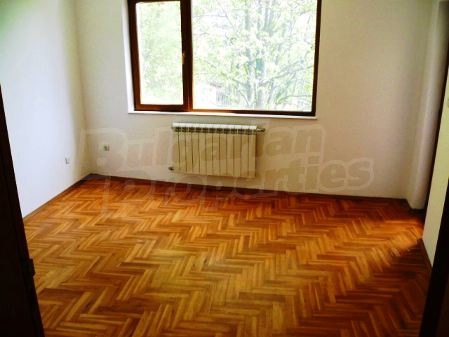 Gallery Picture 15