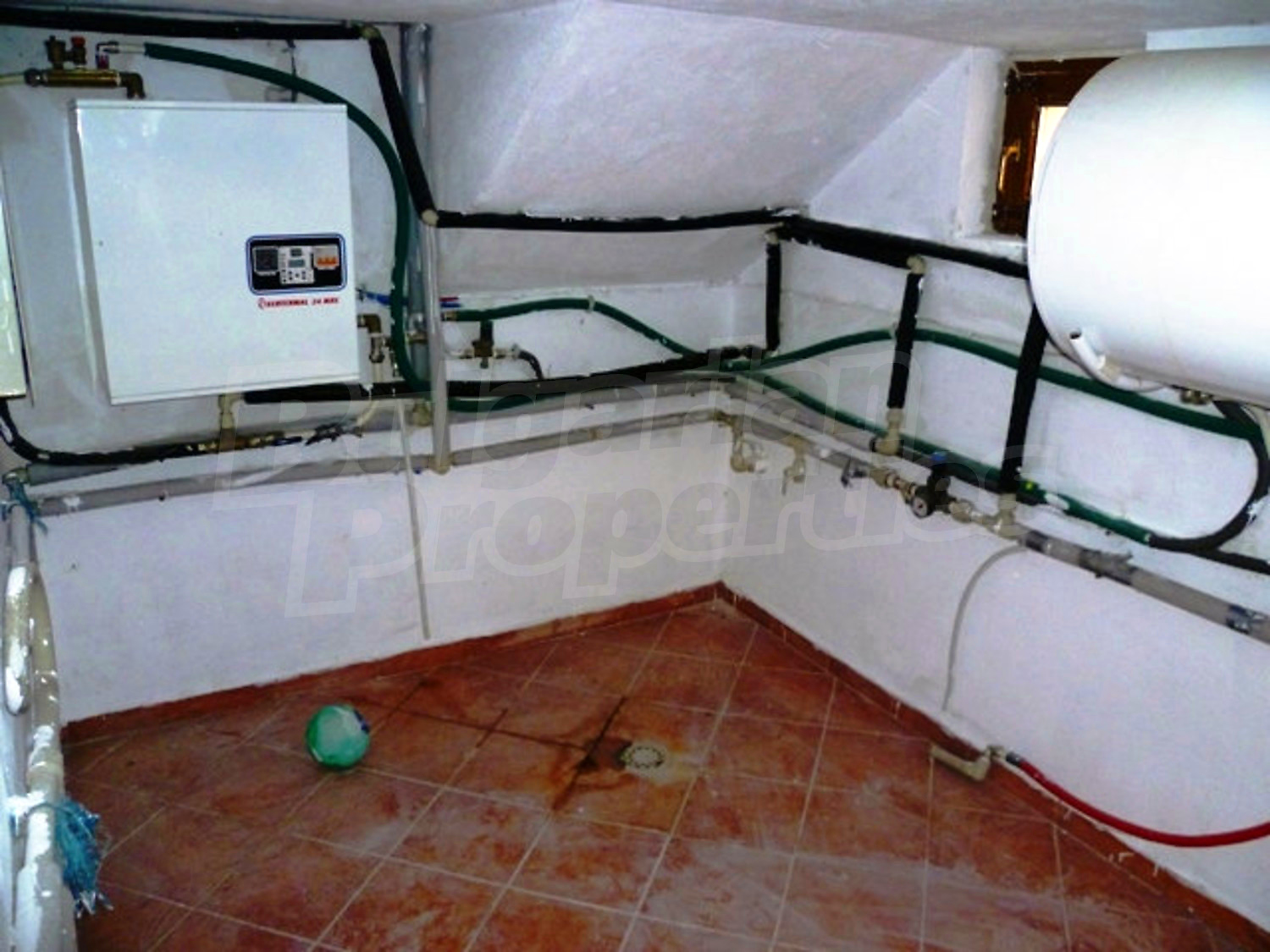 Gallery Picture 29
