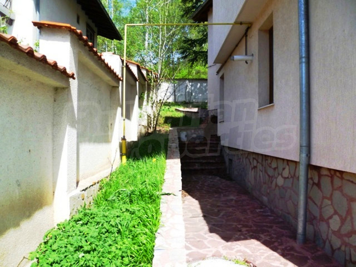 Gallery Picture 35