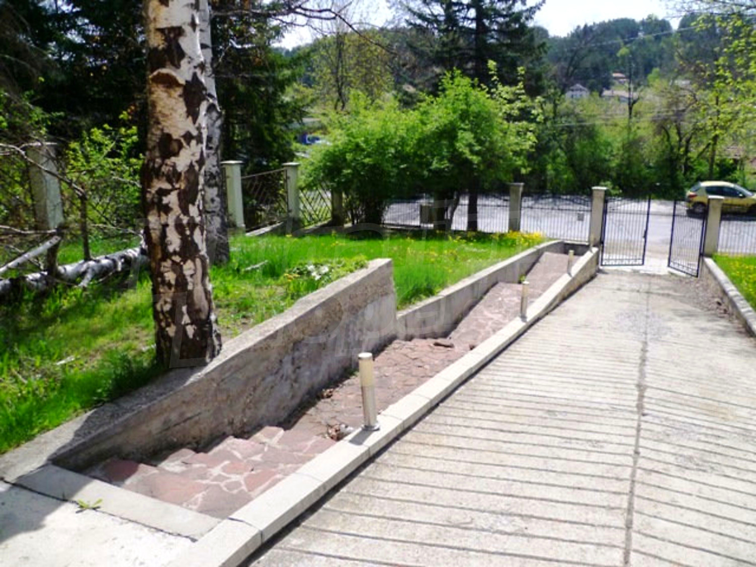 Gallery Picture 38