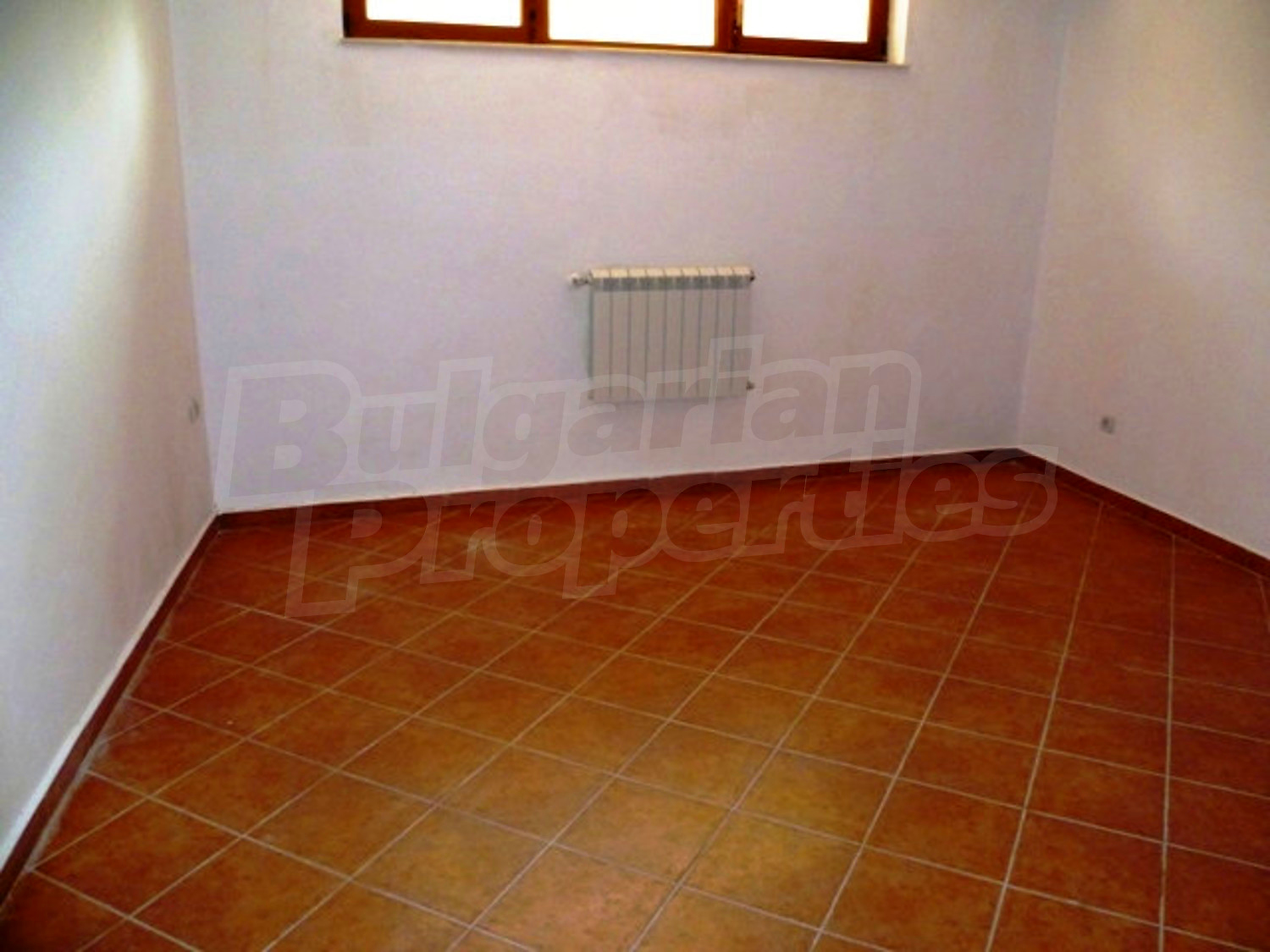 Gallery Picture 8