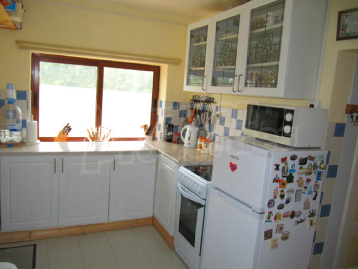 Gallery Picture 36