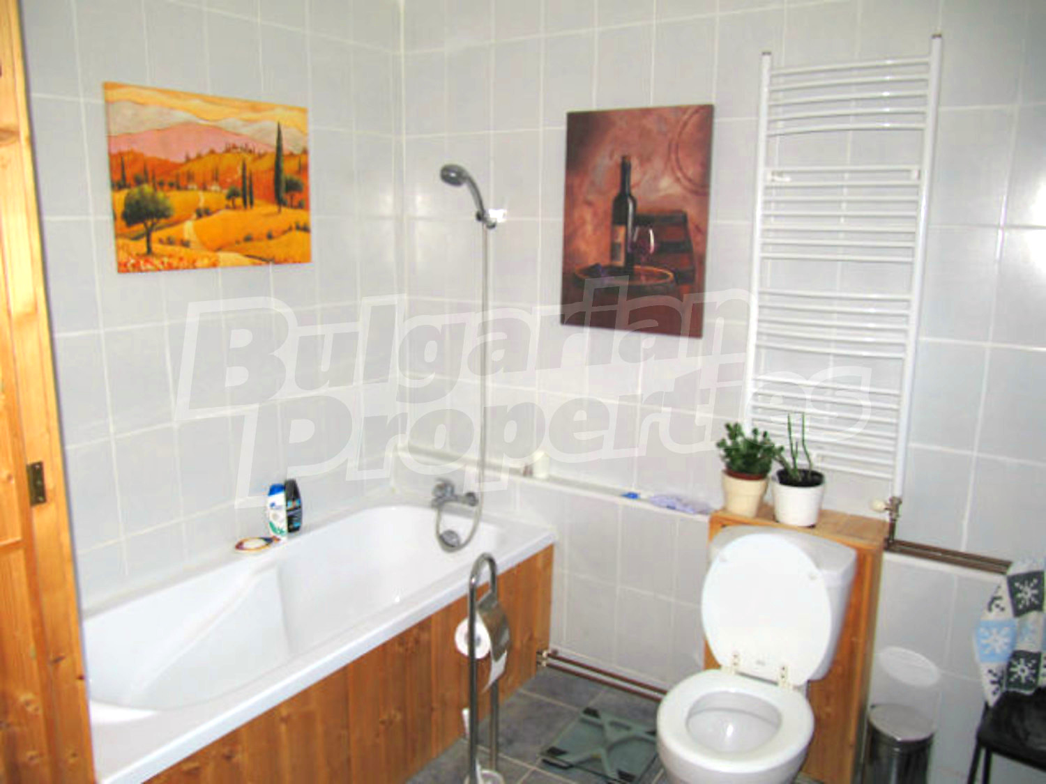 Gallery Picture 54