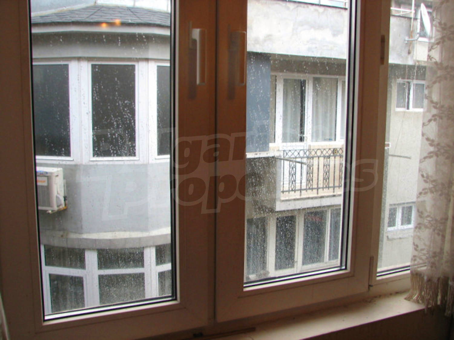 Gallery Picture 10