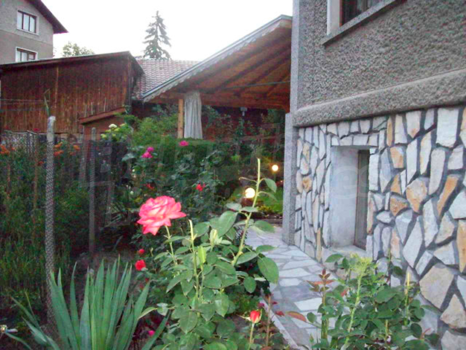 Gallery Picture 21
