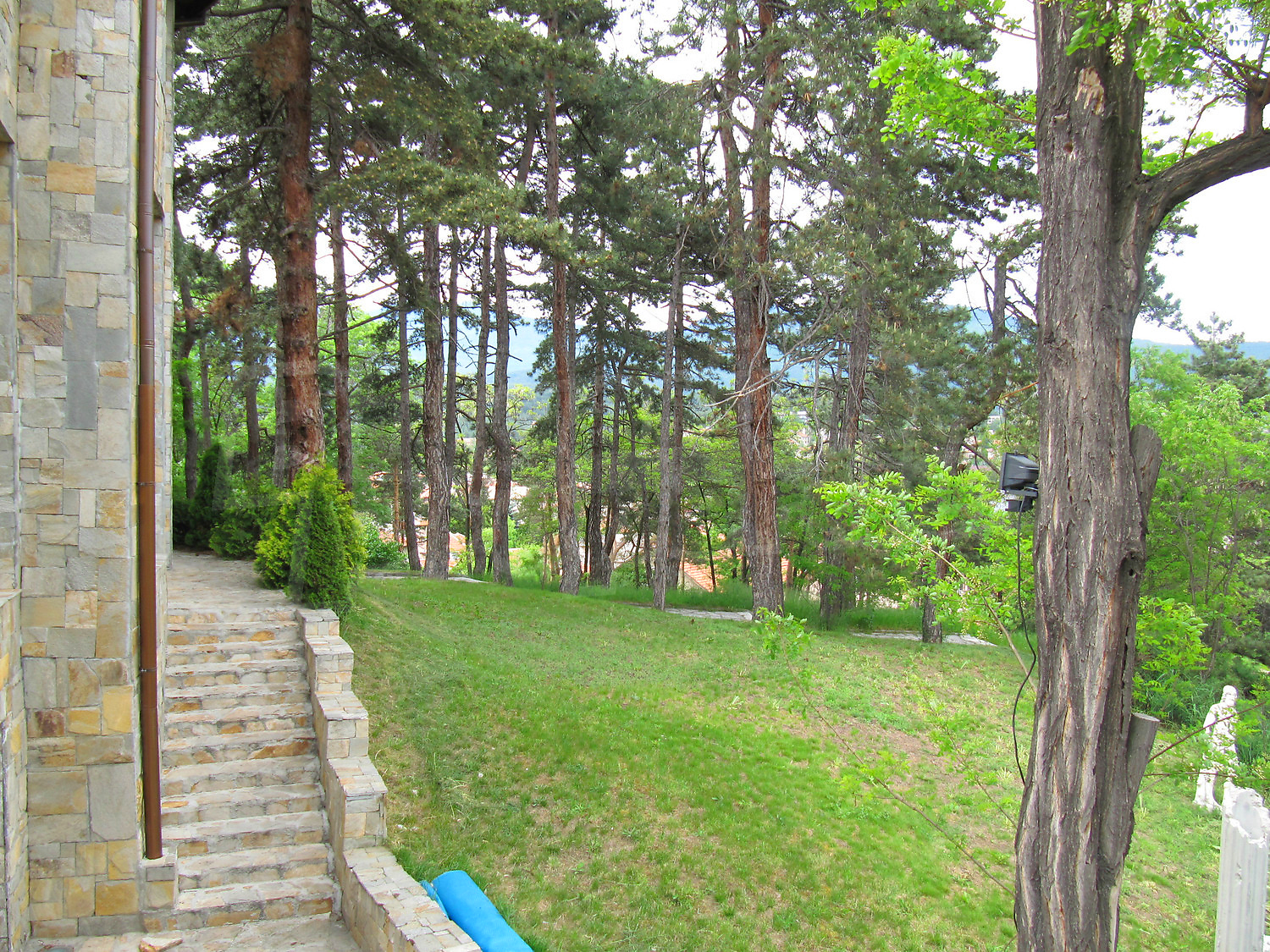 Gallery Picture 29