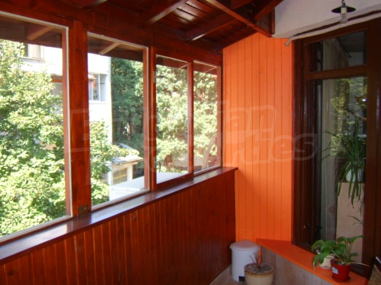 Gallery Picture 19