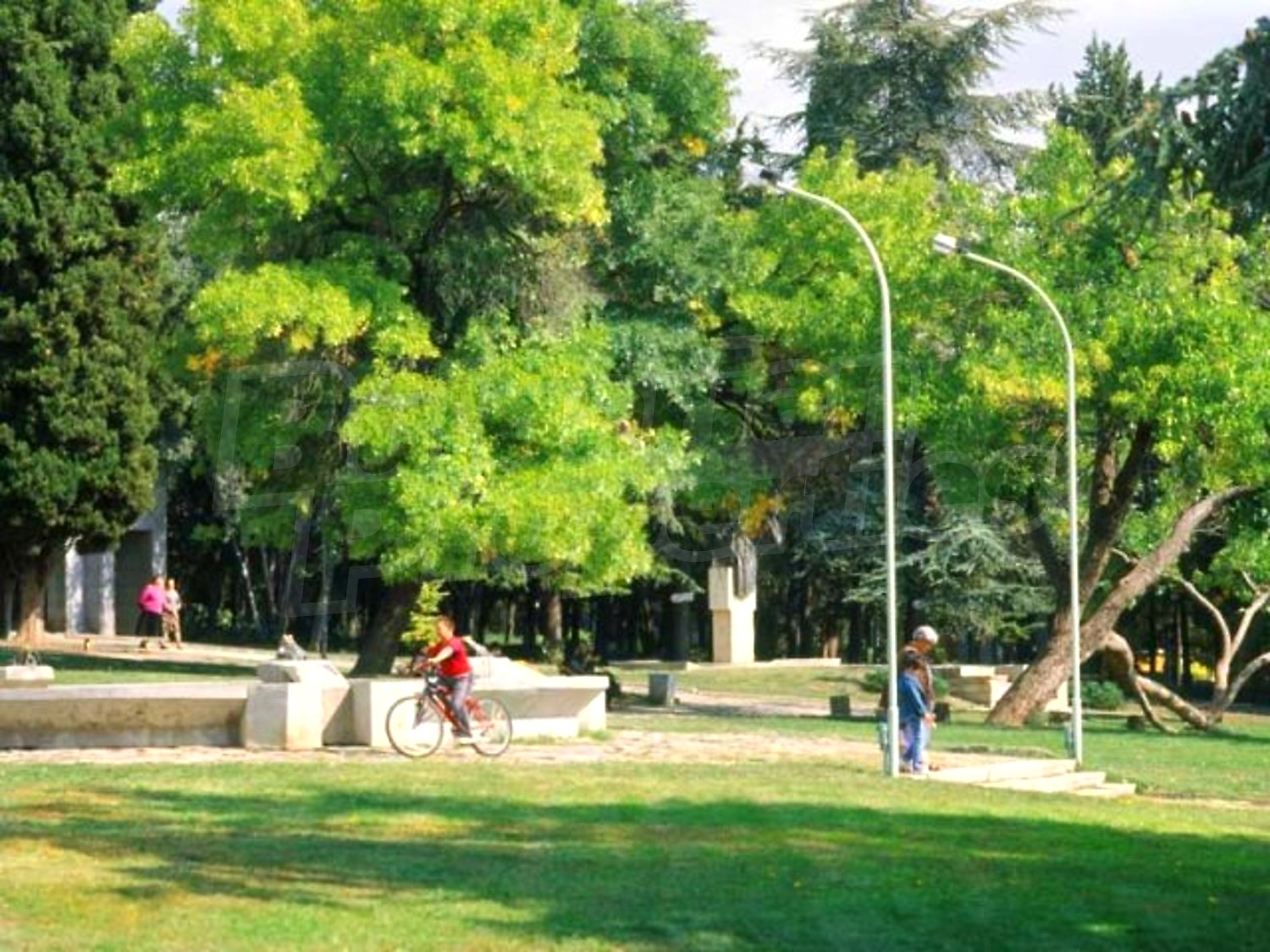 Gallery Picture 23