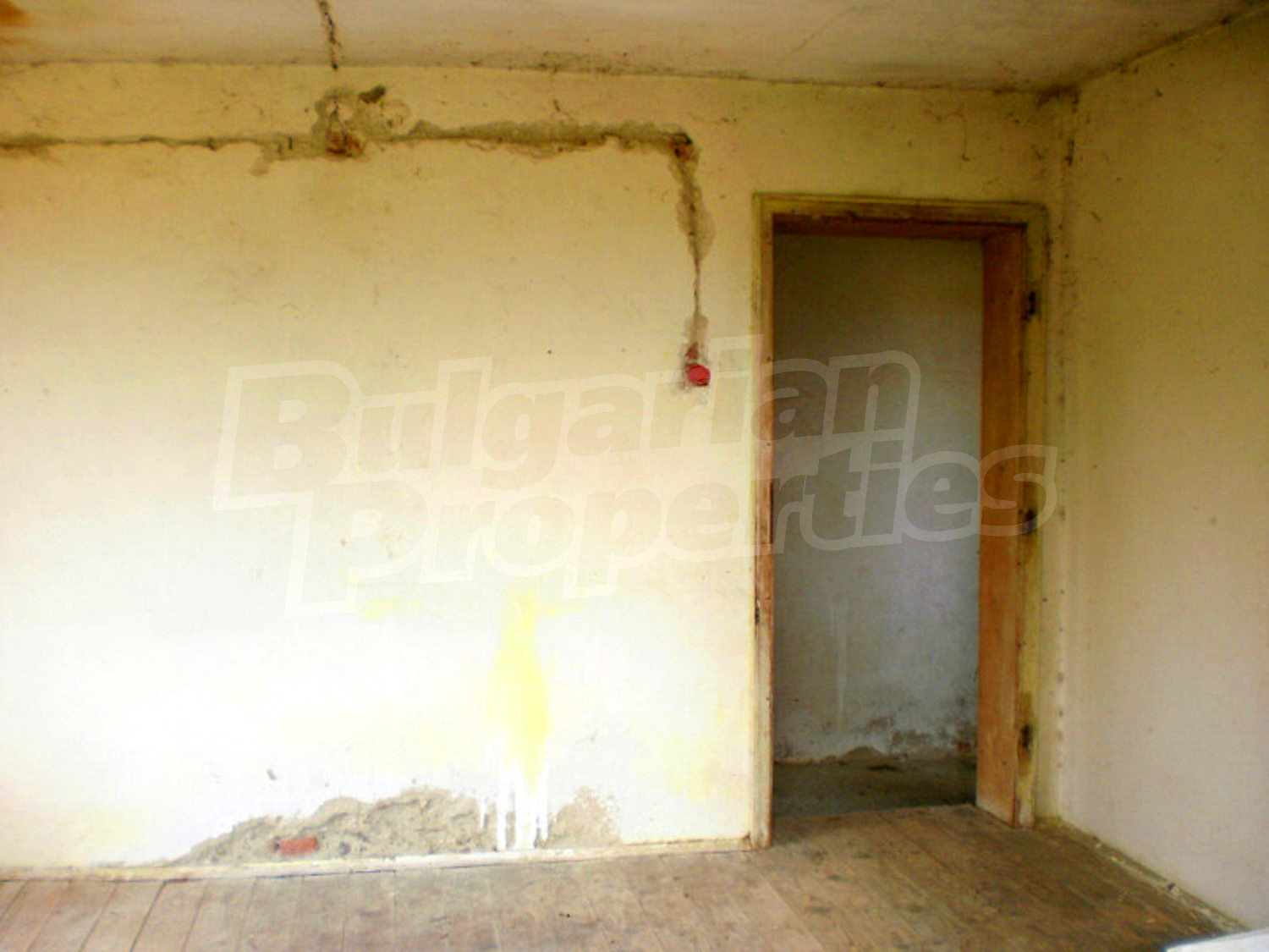 Gallery Picture 11