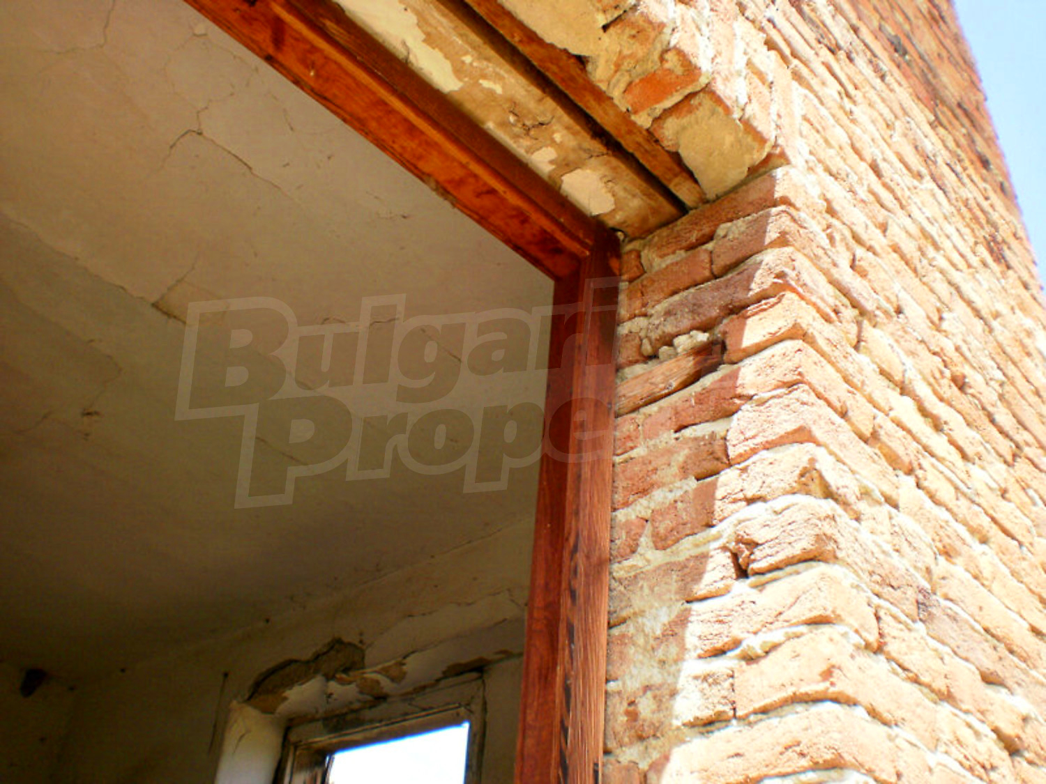 Gallery Picture 12