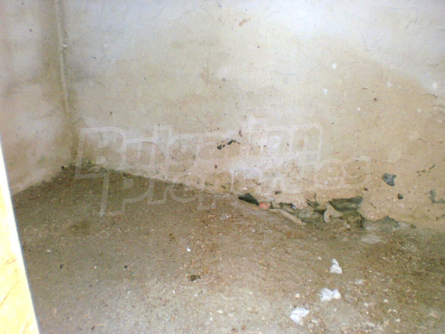 Gallery Picture 13