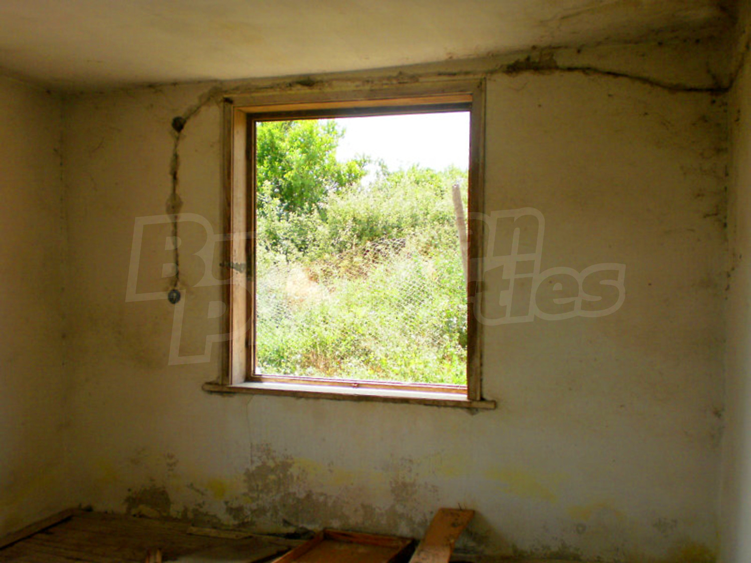 Gallery Picture 14