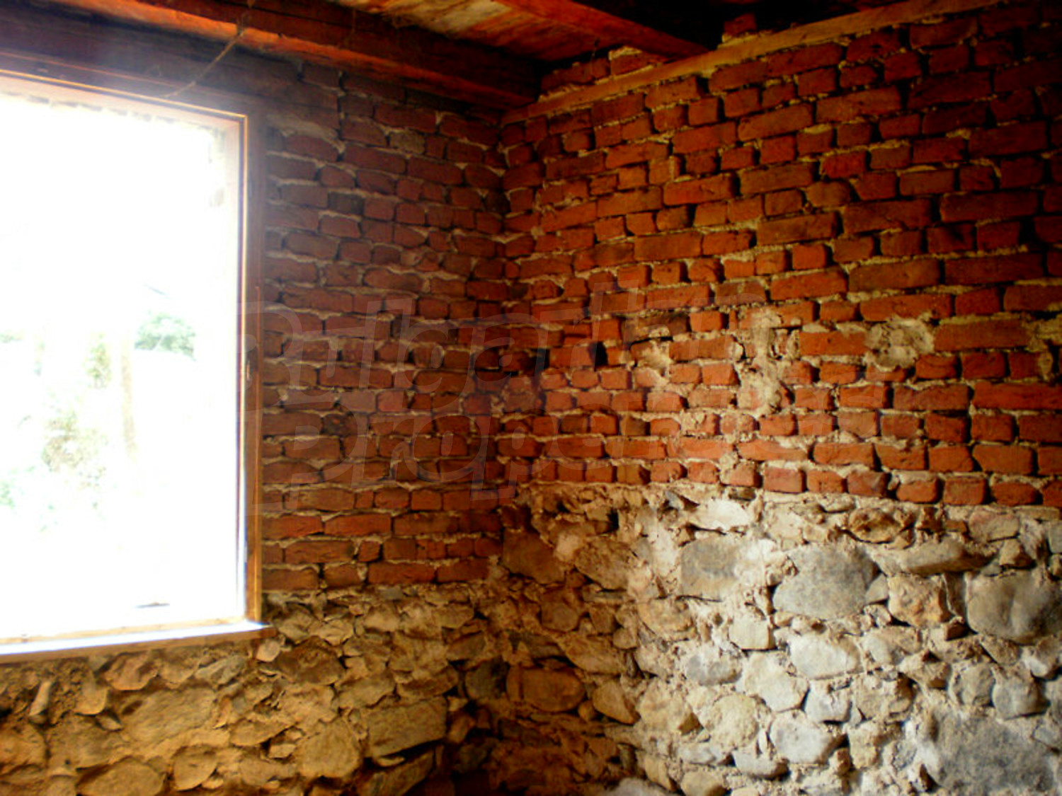 Gallery Picture 15