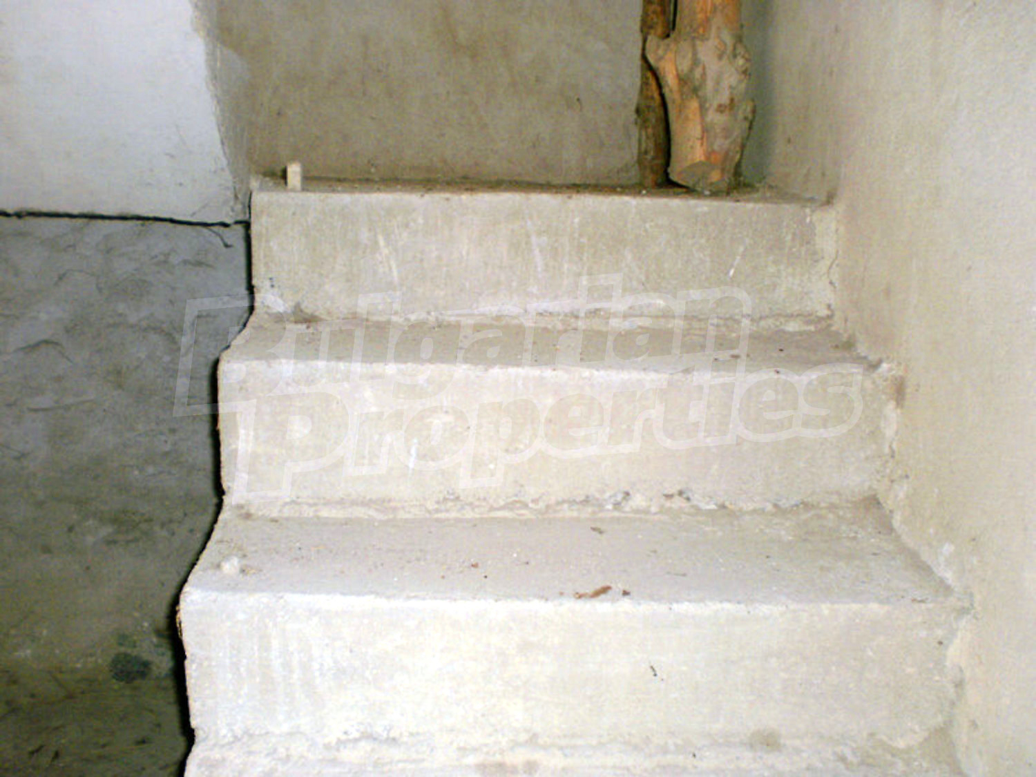 Gallery Picture 16