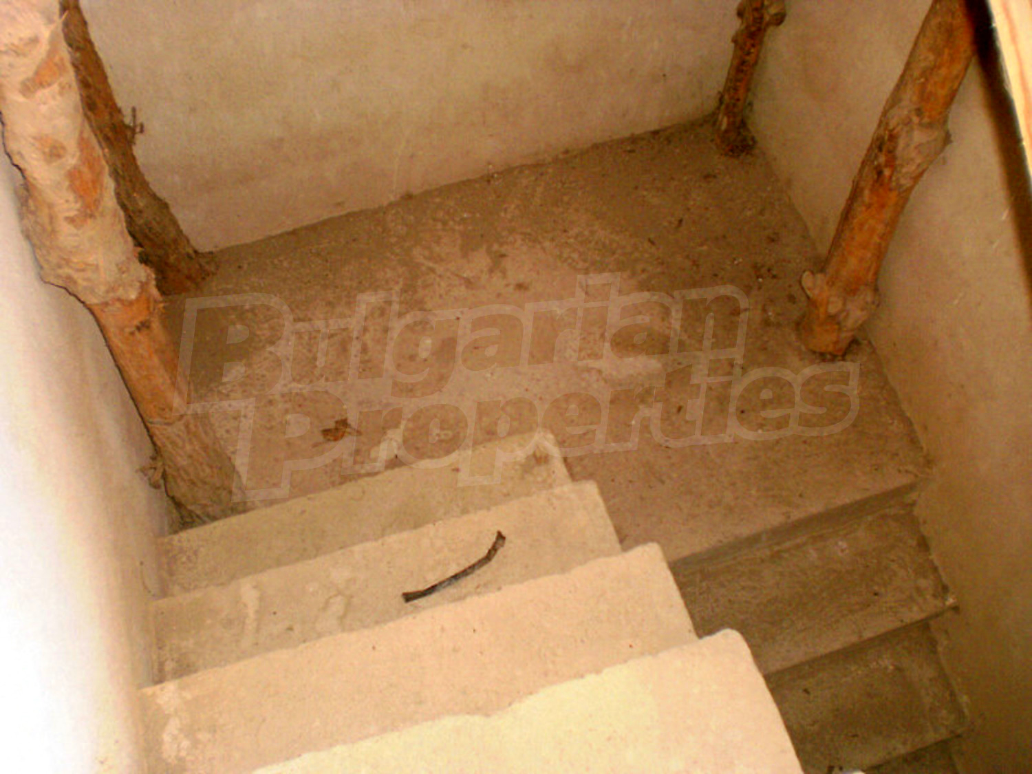 Gallery Picture 17