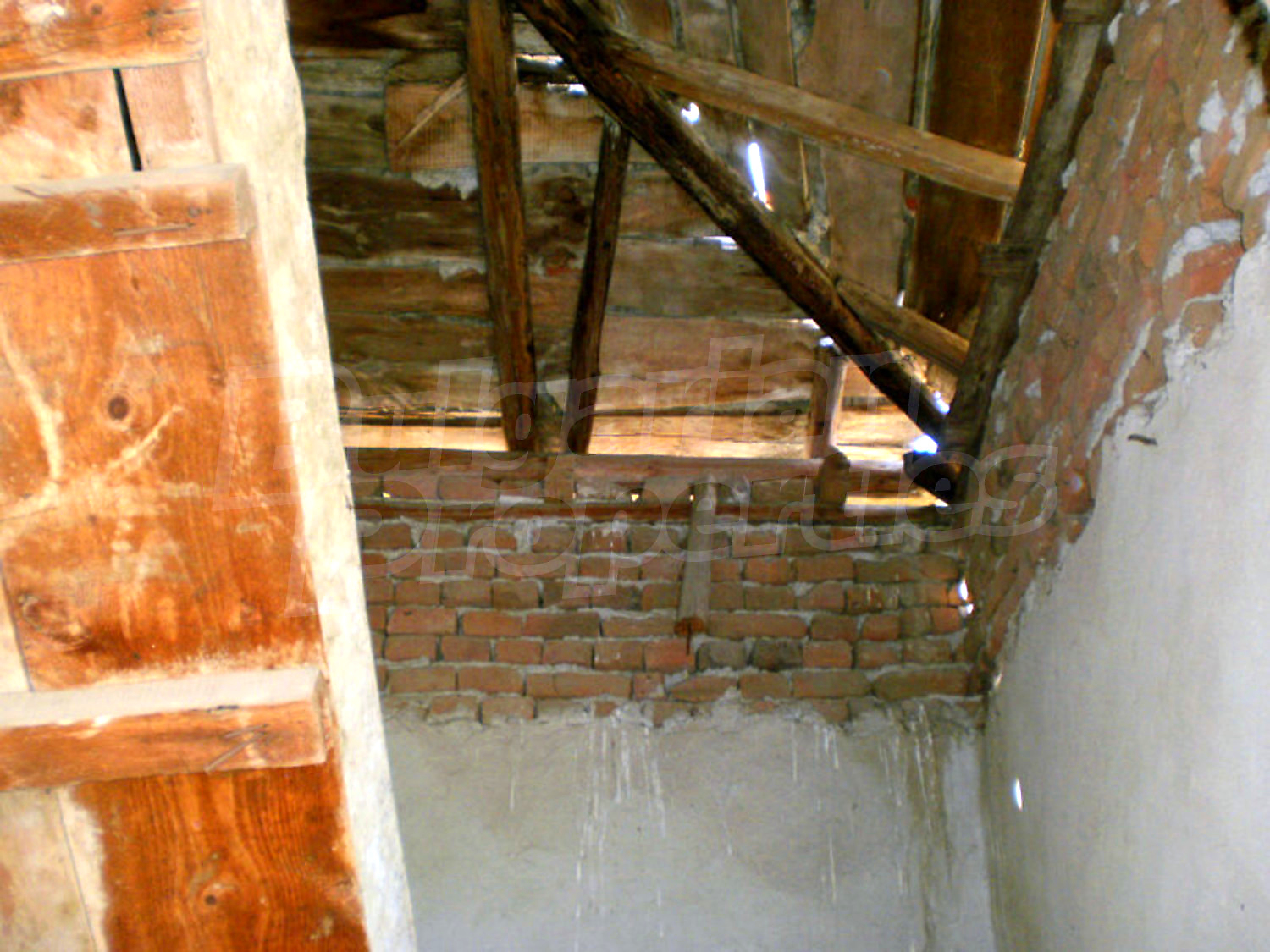 Gallery Picture 18