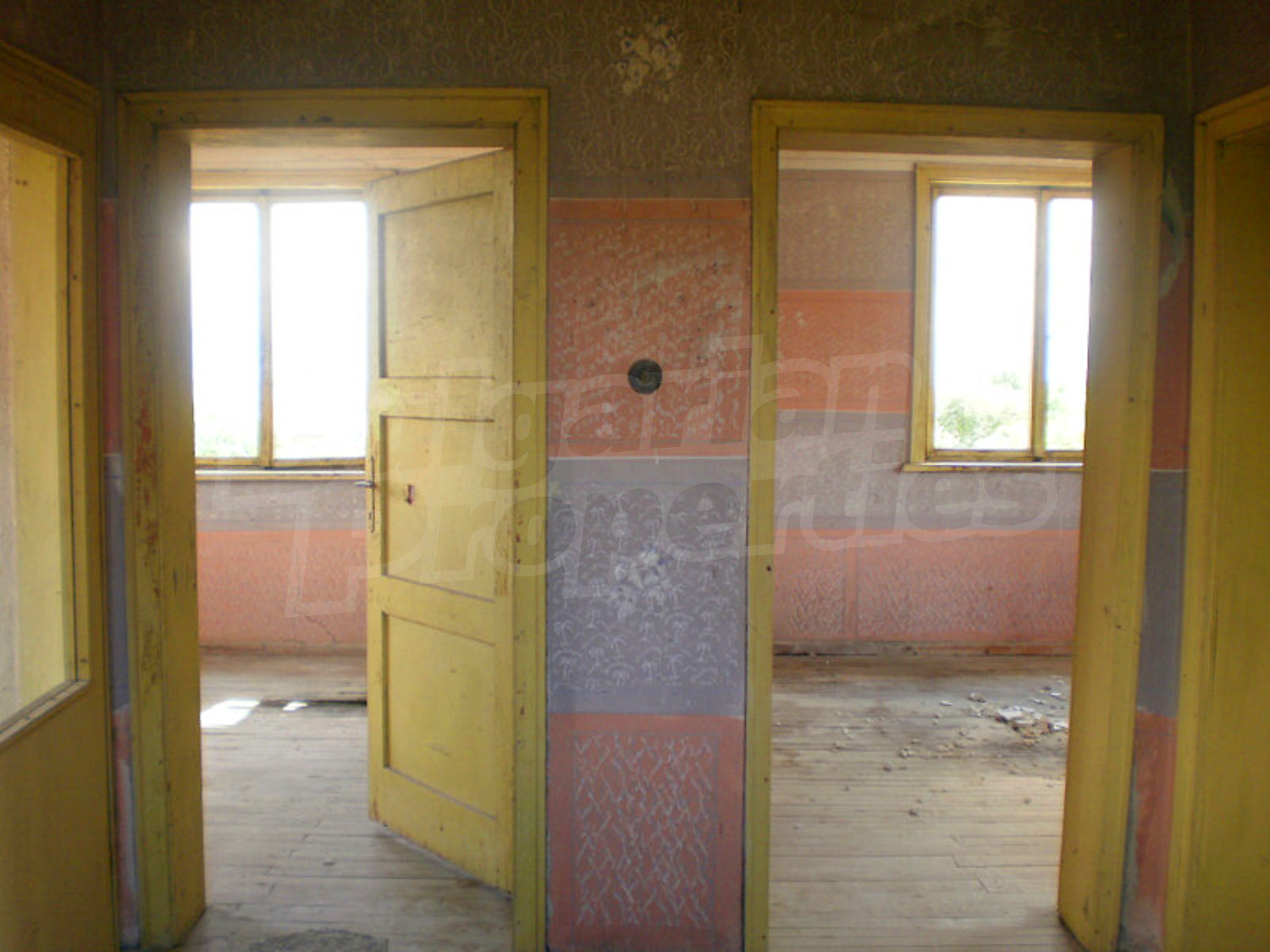 Gallery Picture 19