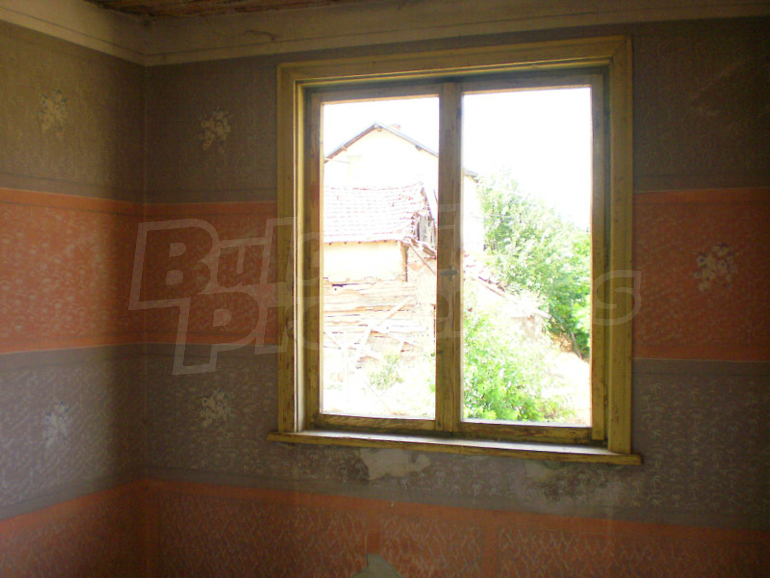 Gallery Picture 20