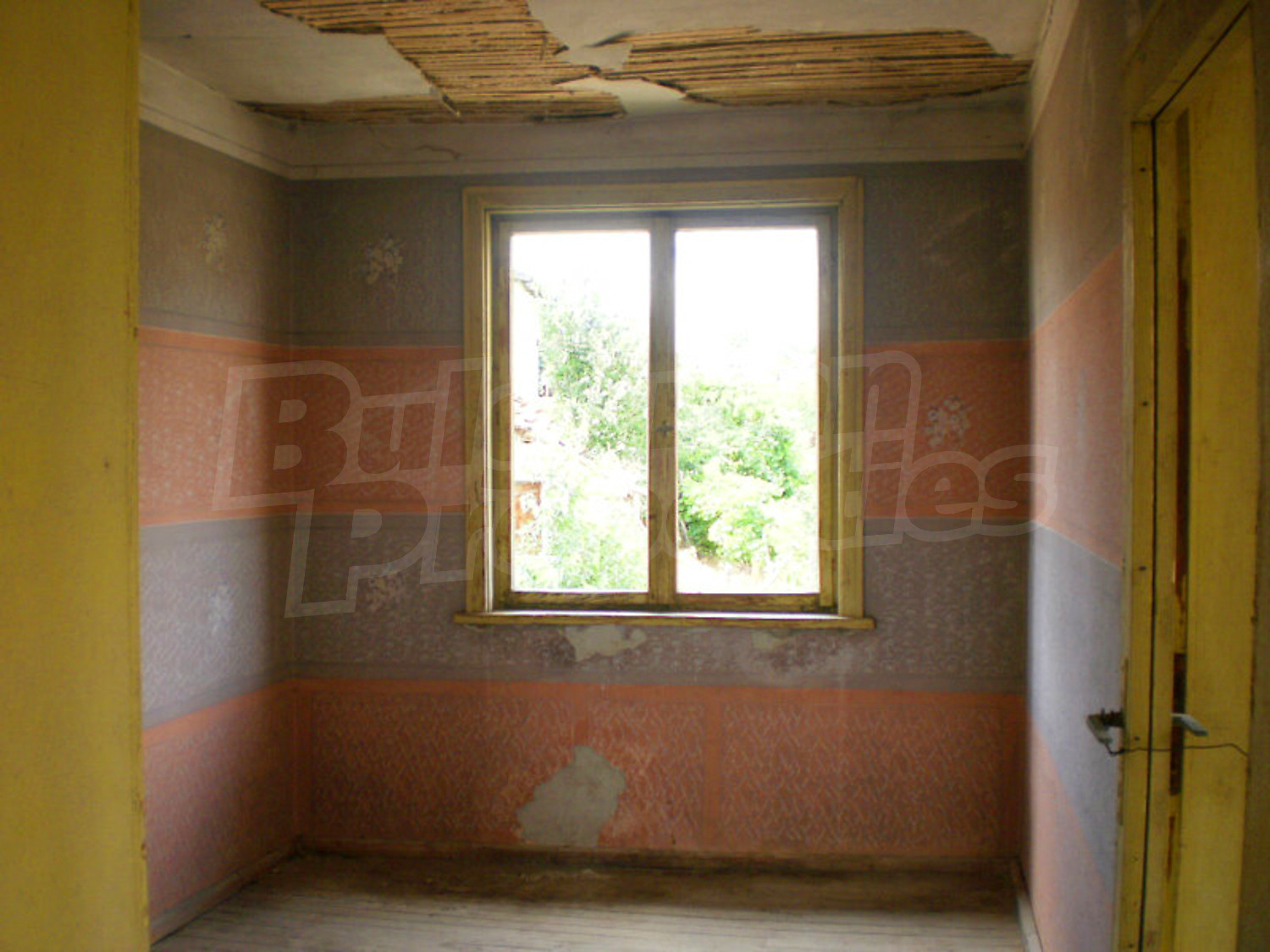 Gallery Picture 22