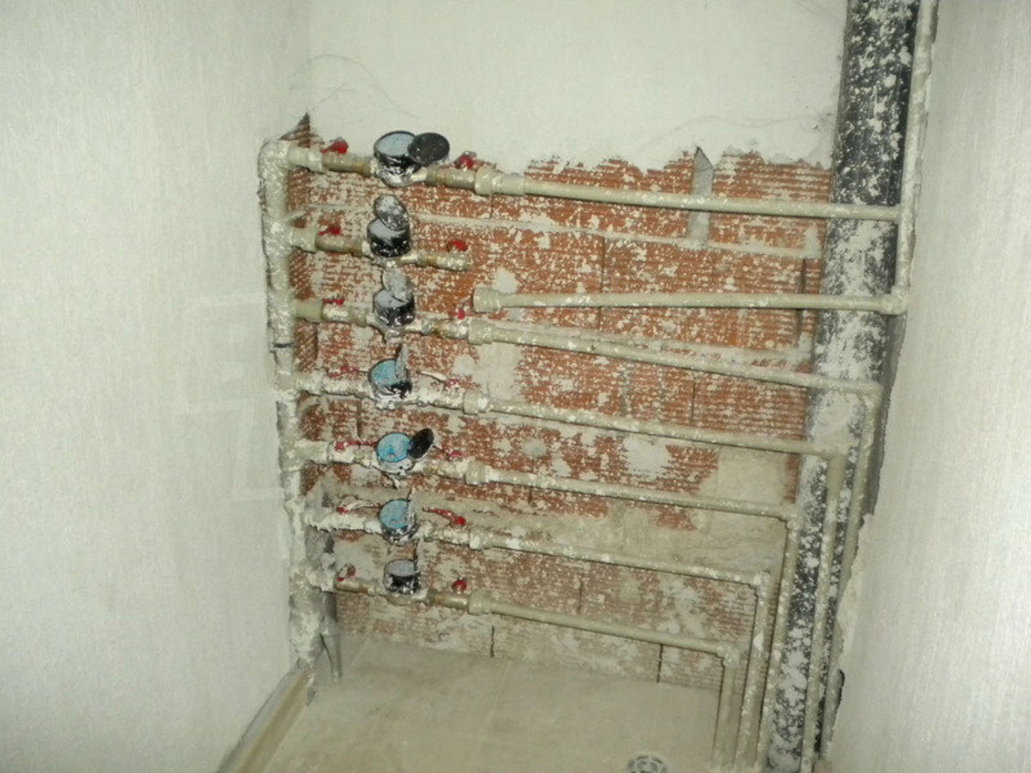 Gallery Picture 12