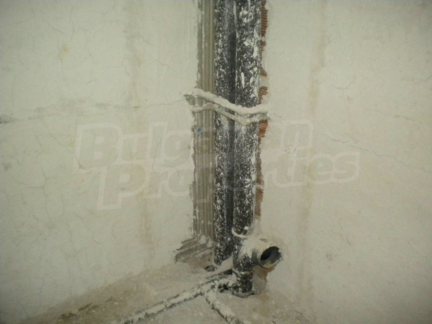 Gallery Picture 9