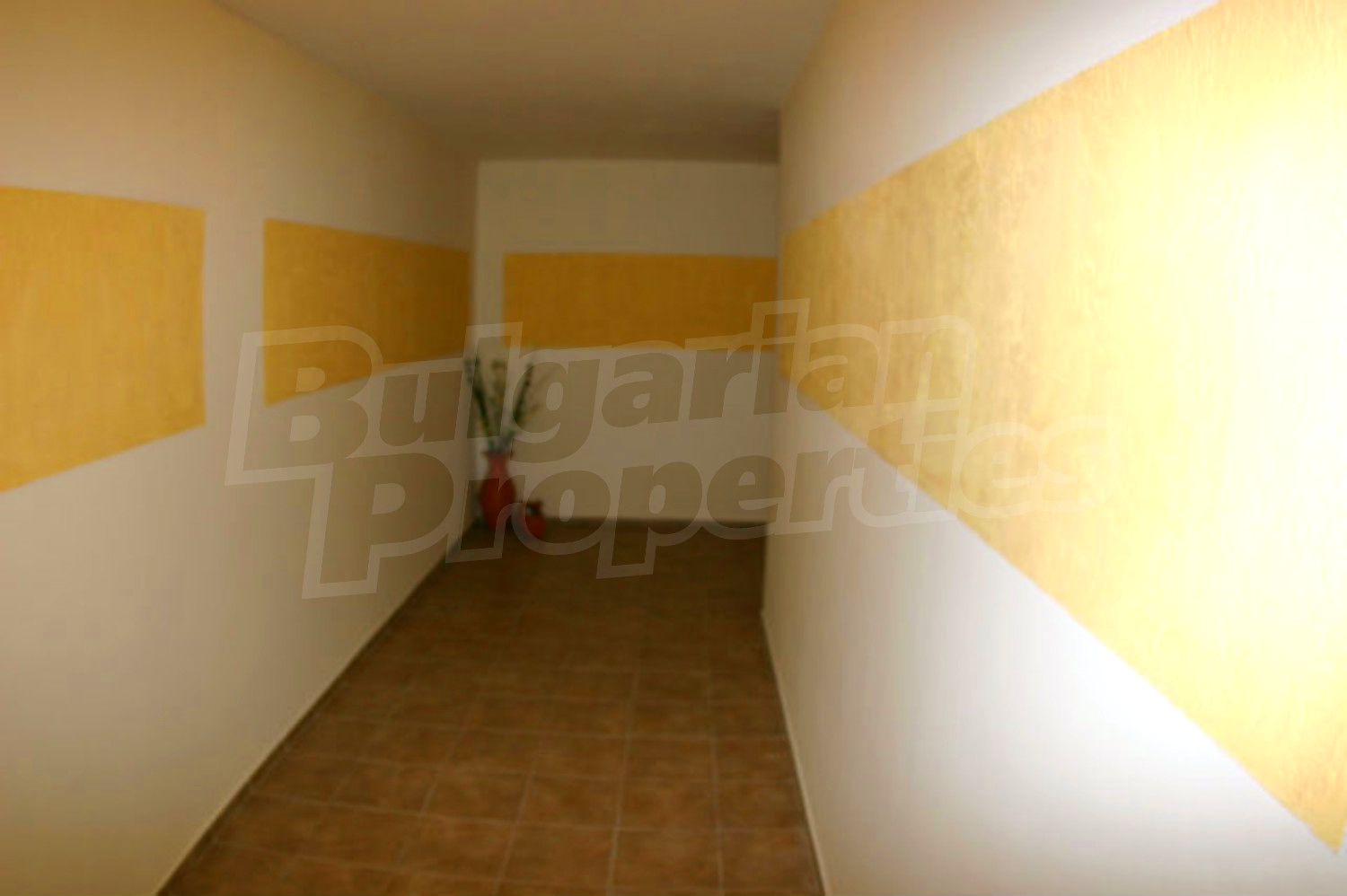 Gallery Picture 19