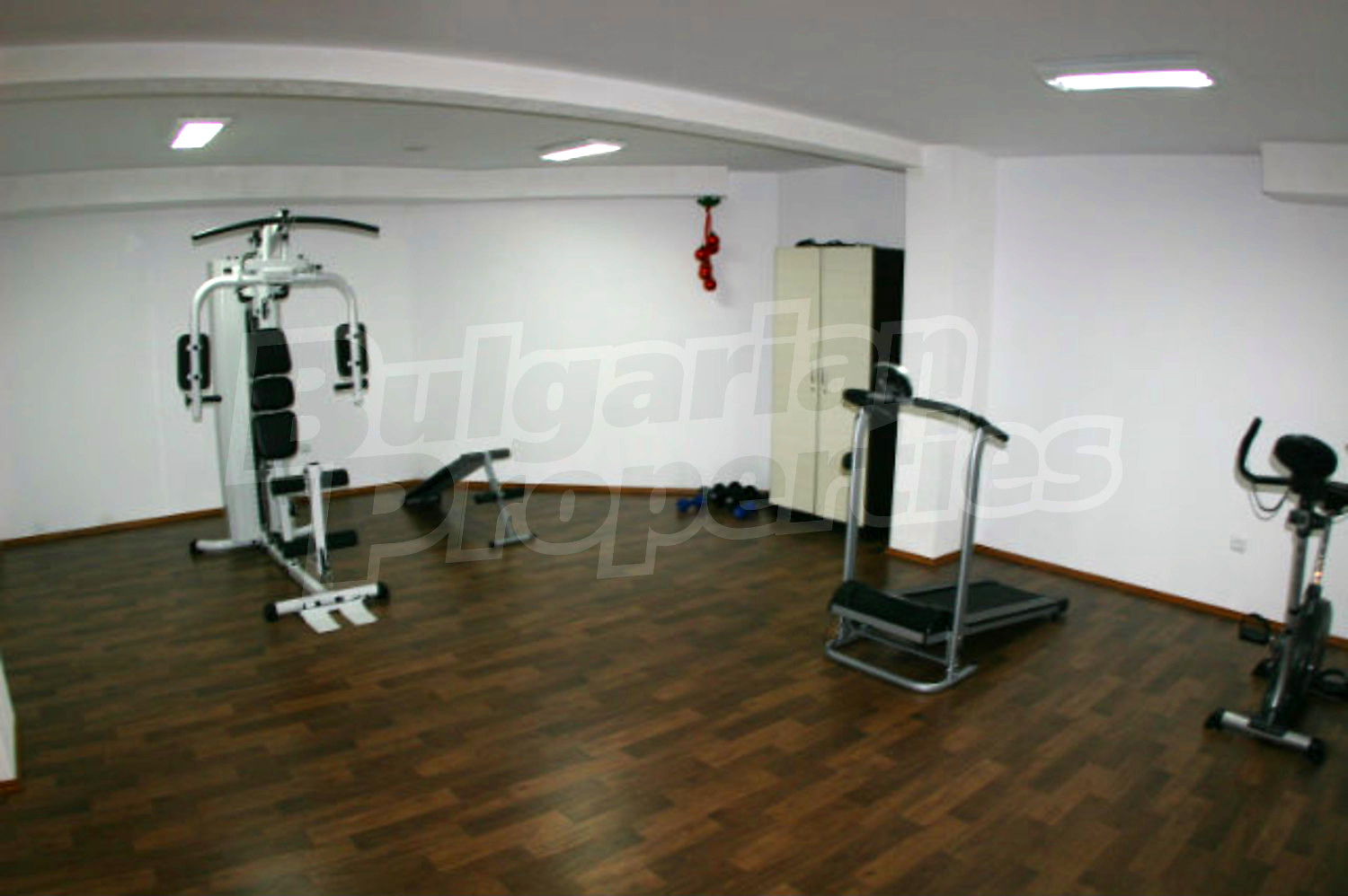 Gallery Picture 24