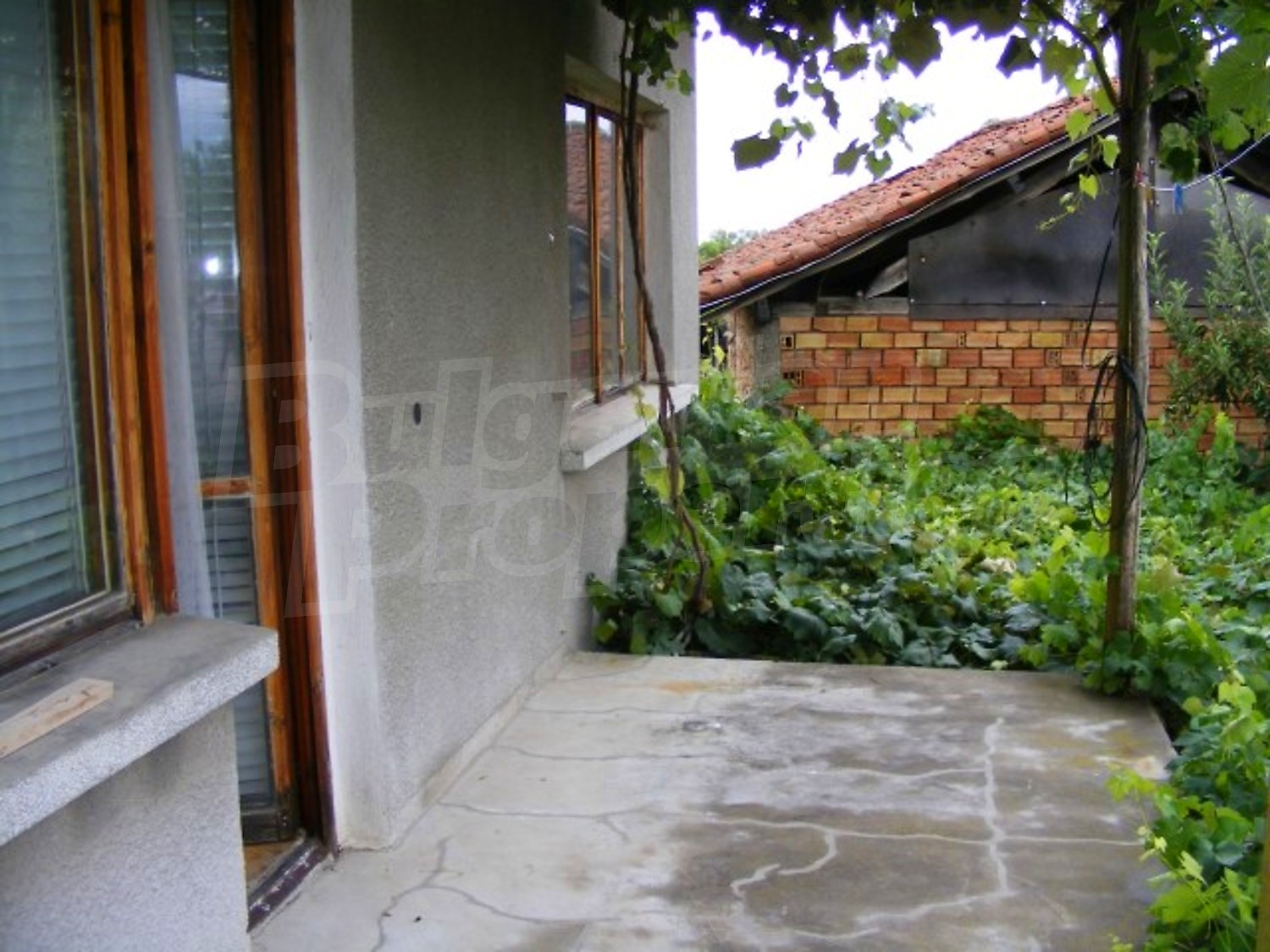 Gallery Picture 26