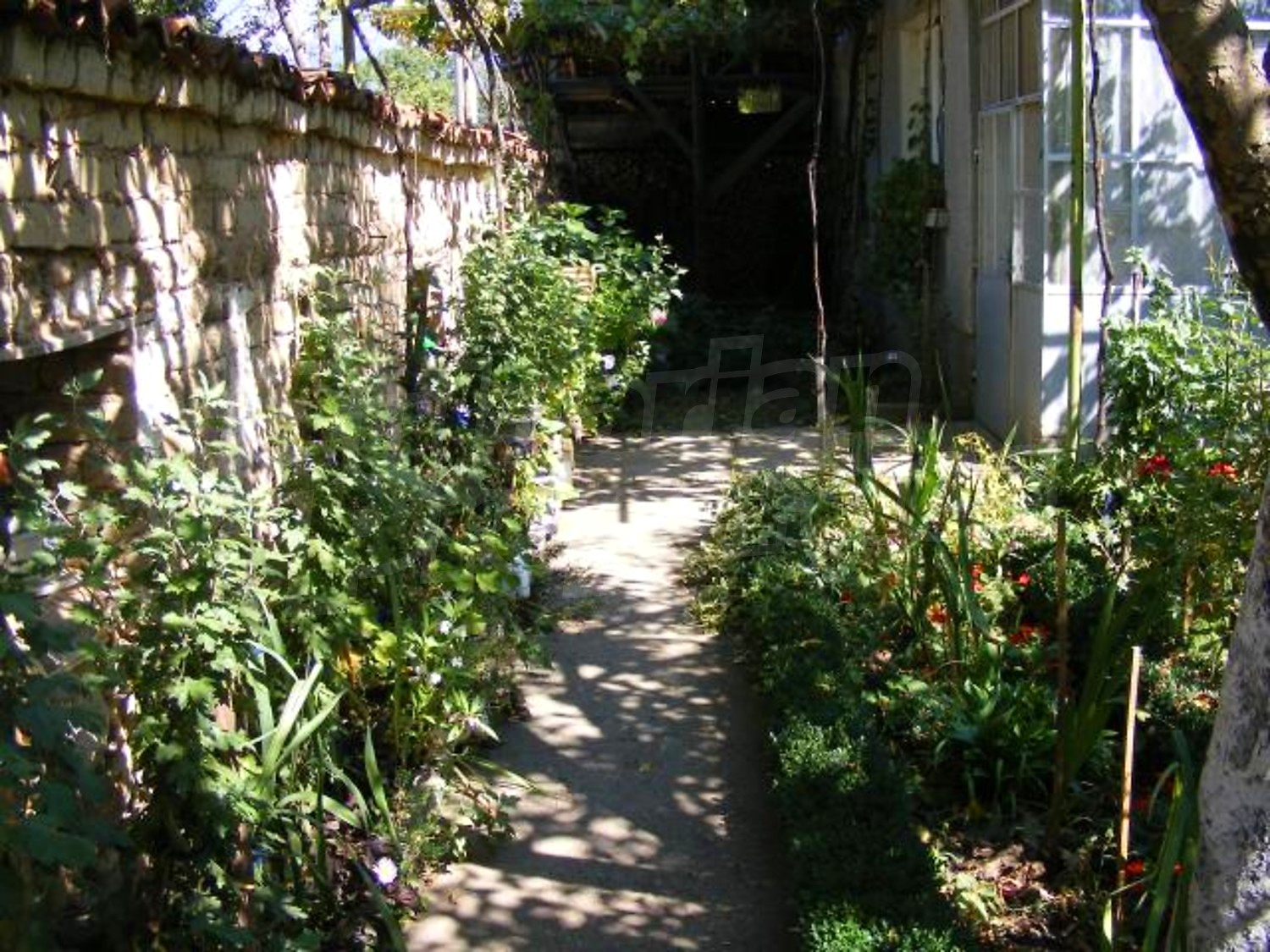Gallery Picture 35