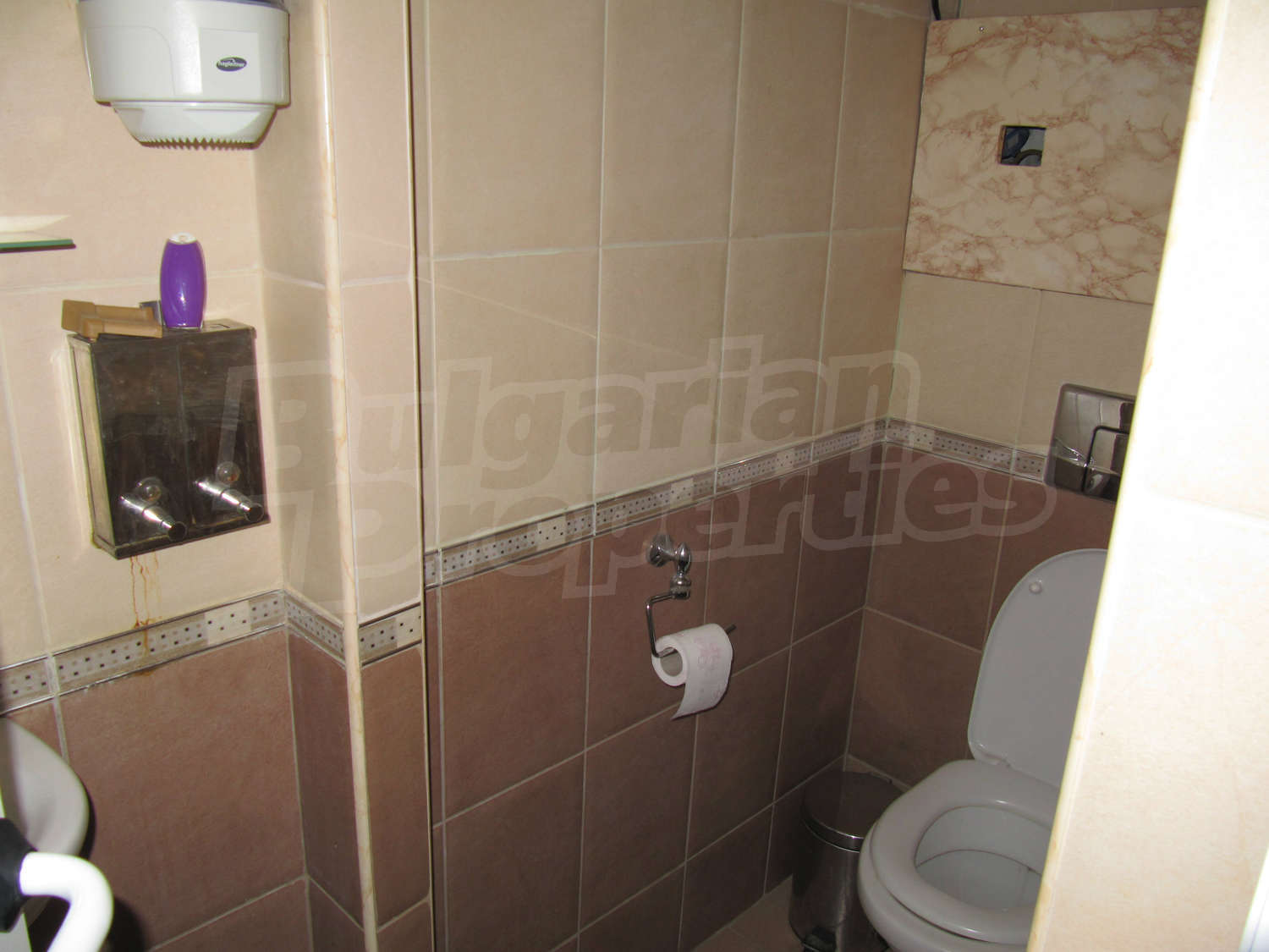 Gallery Picture 16