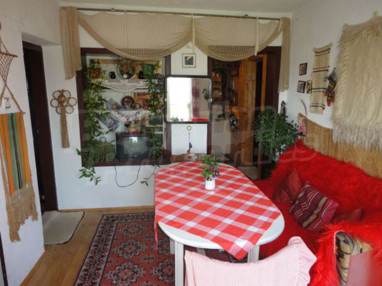 Gallery Picture 12