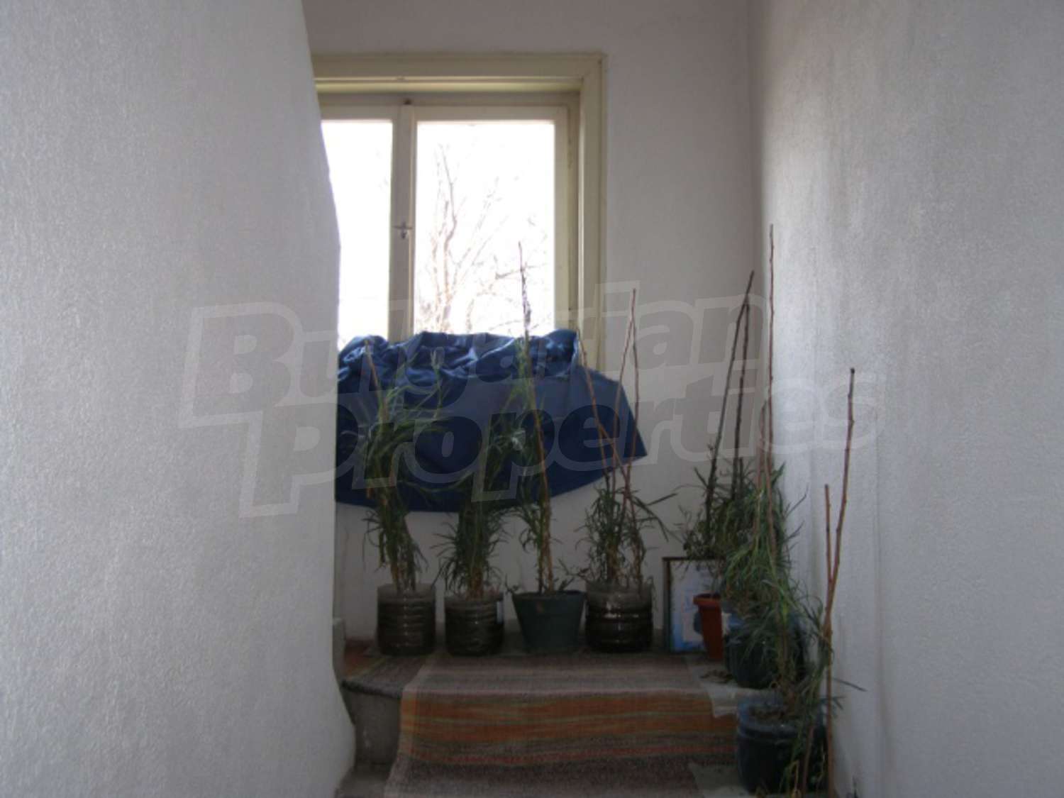 Gallery Picture 12