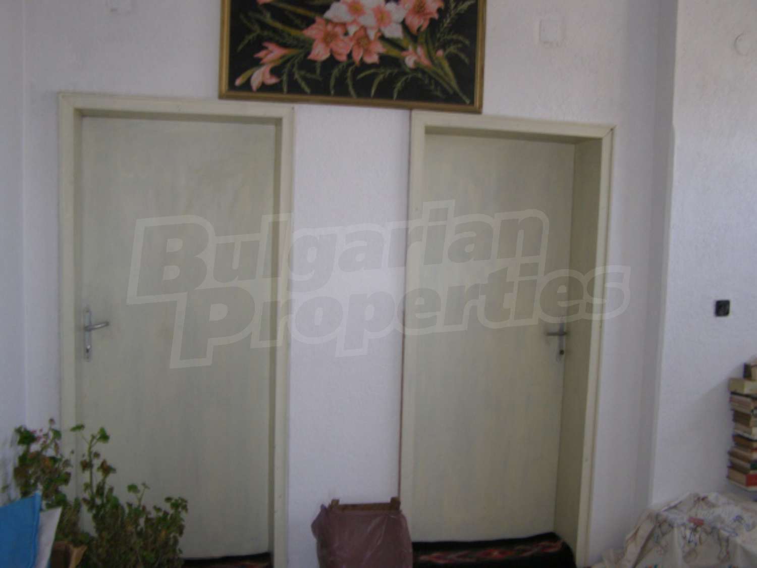 Gallery Picture 13