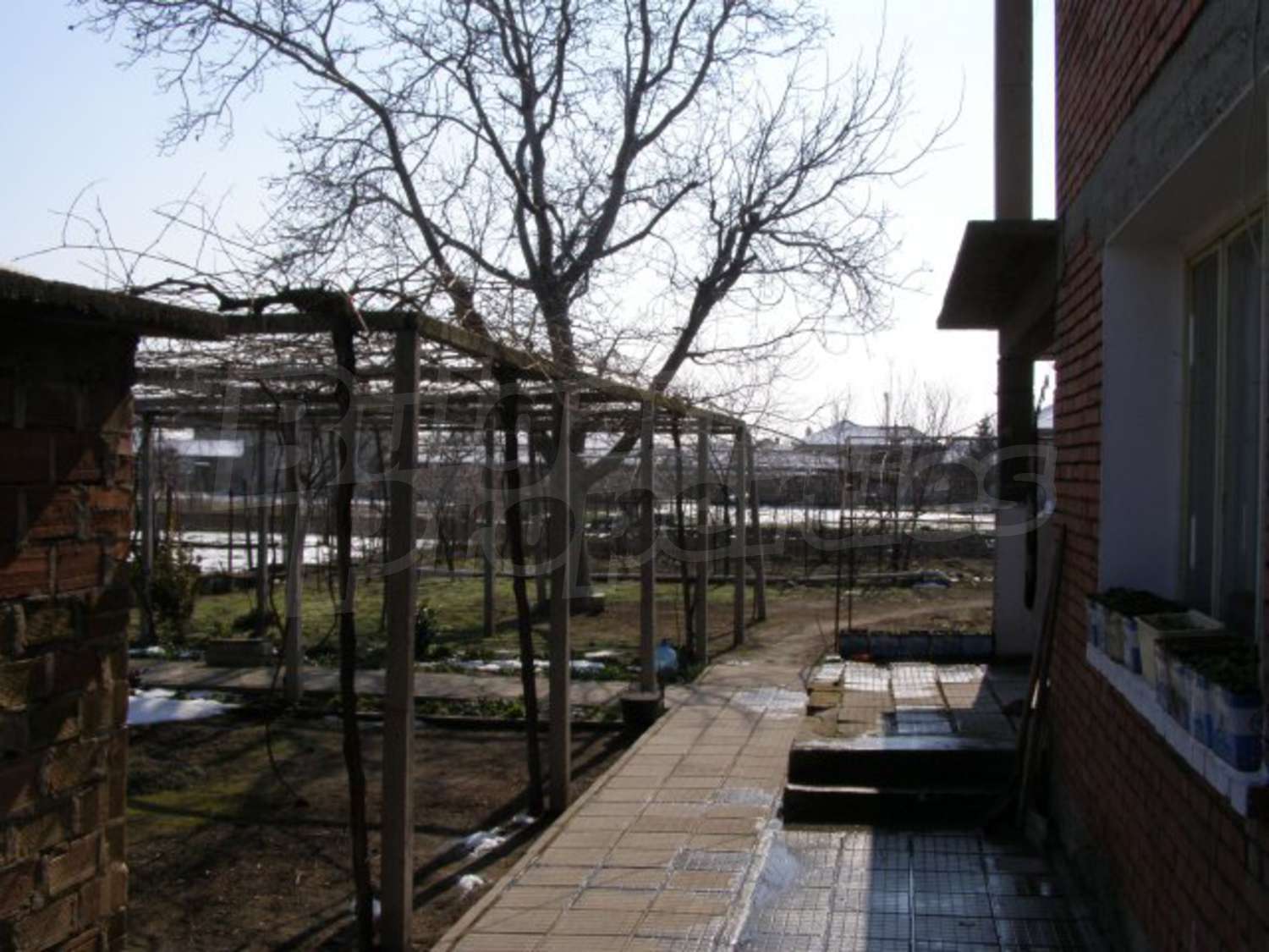Gallery Picture 25