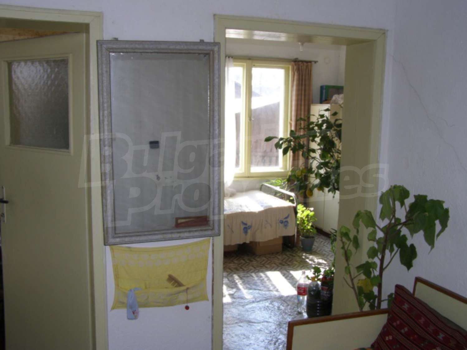Gallery Picture 6