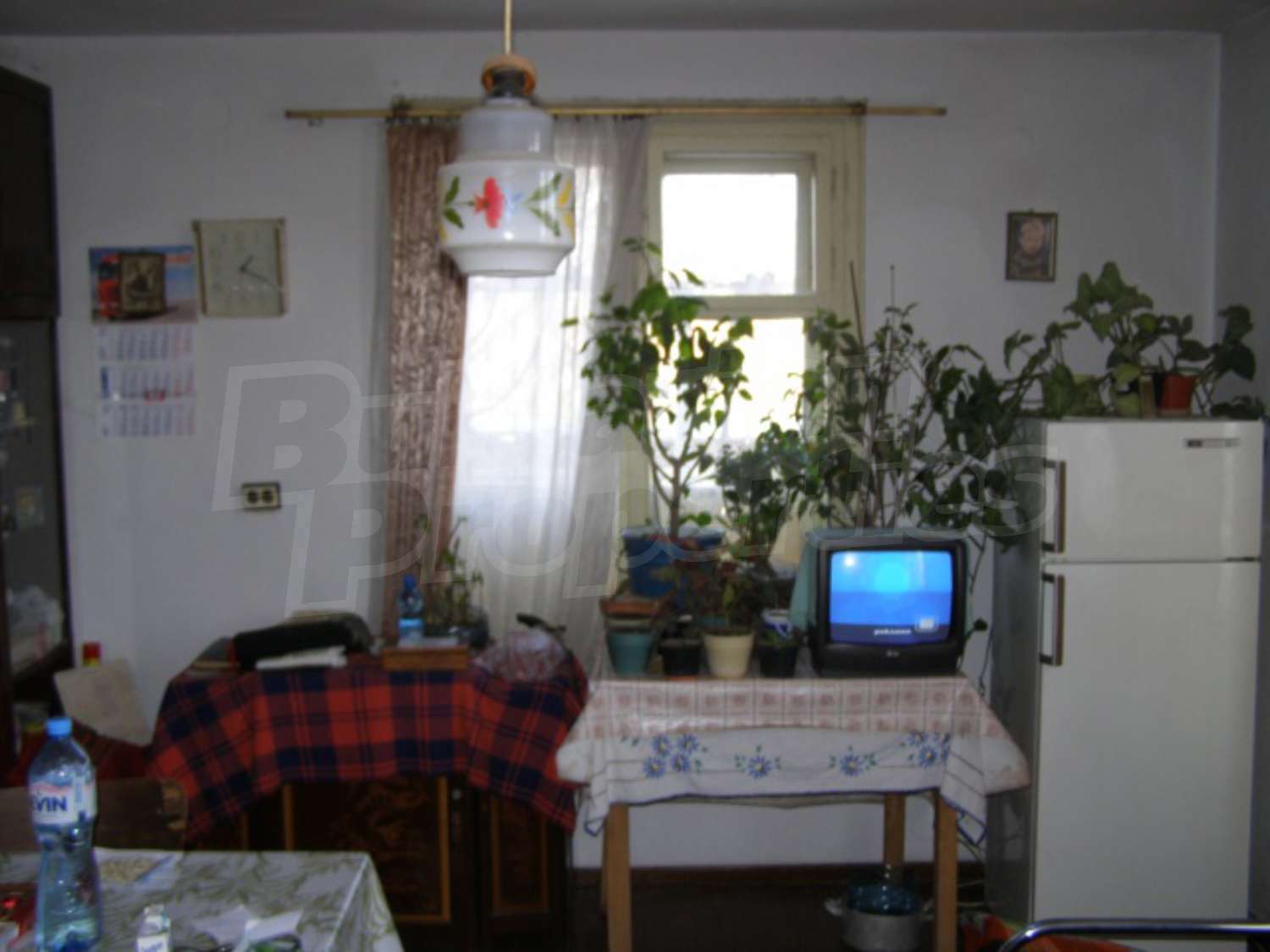 Gallery Picture 9