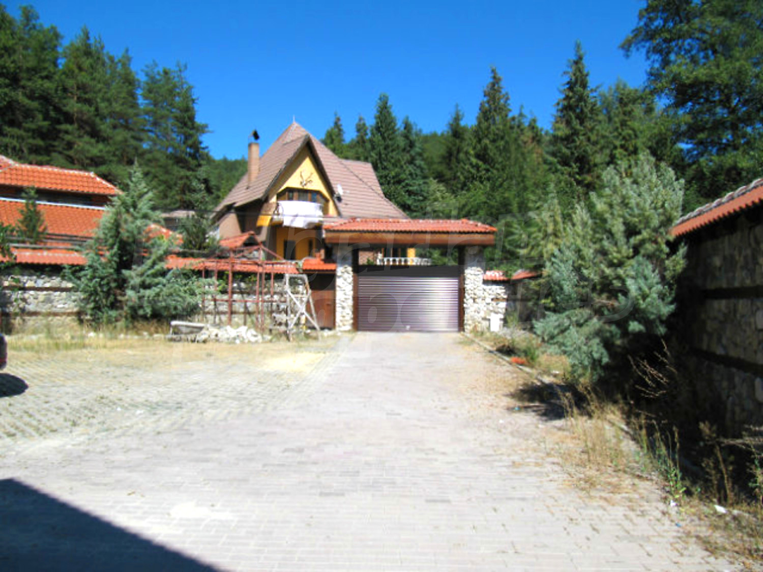 Gallery Picture 57