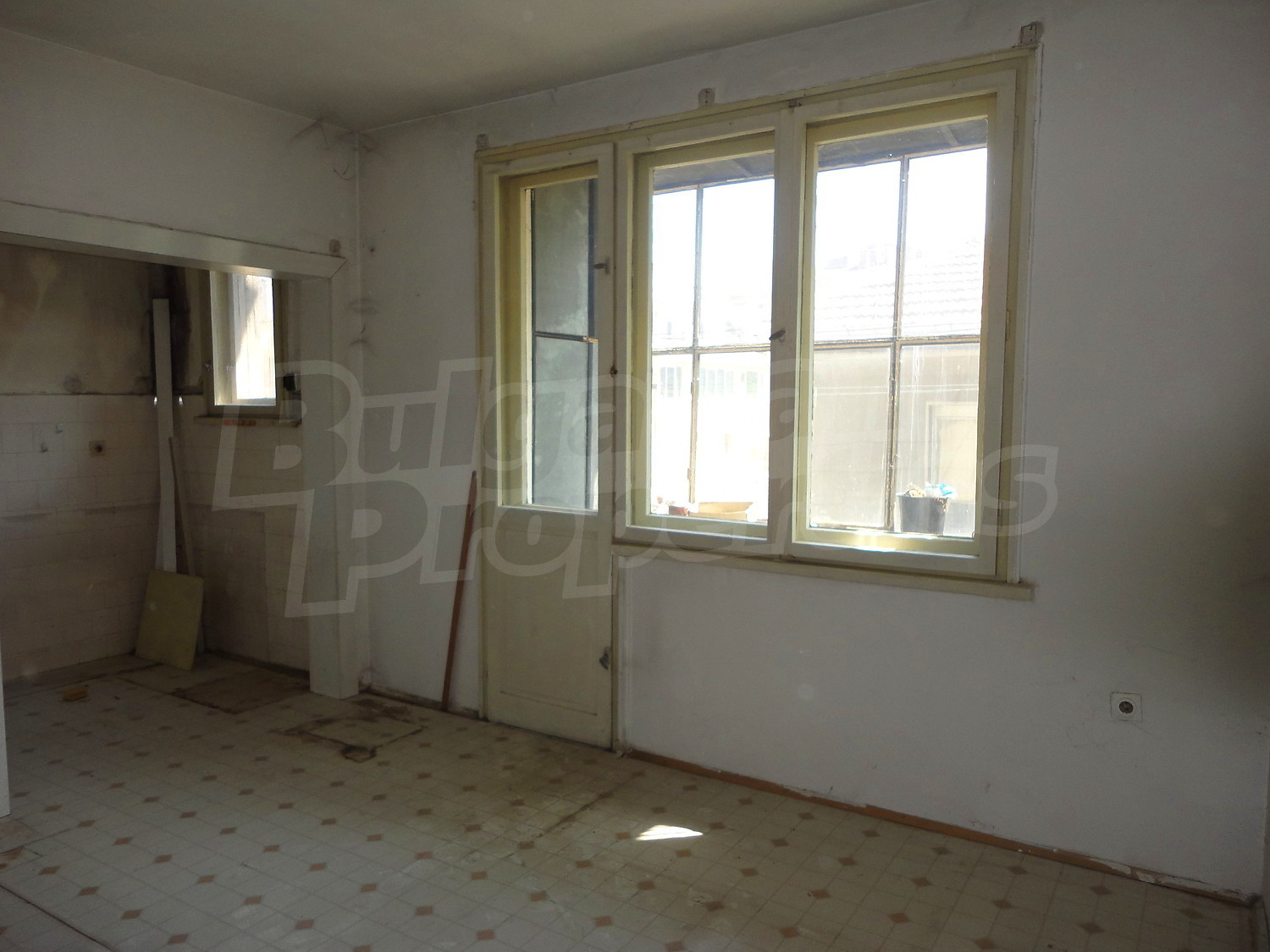 Gallery Picture 13