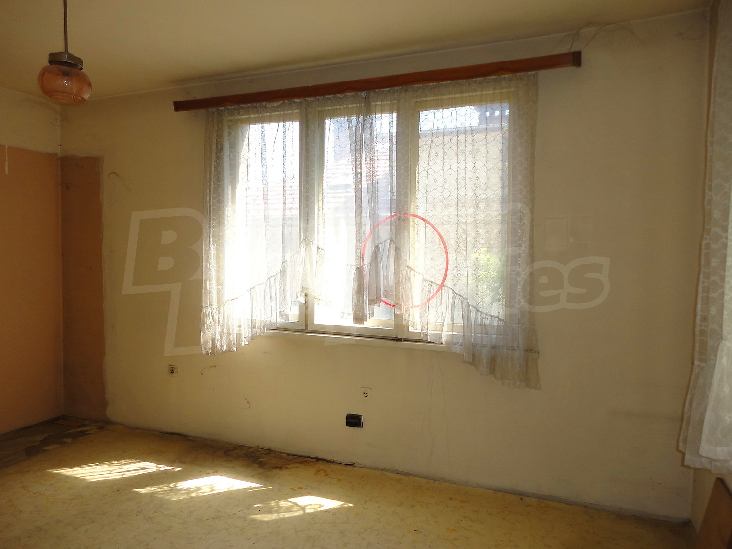 Gallery Picture 15