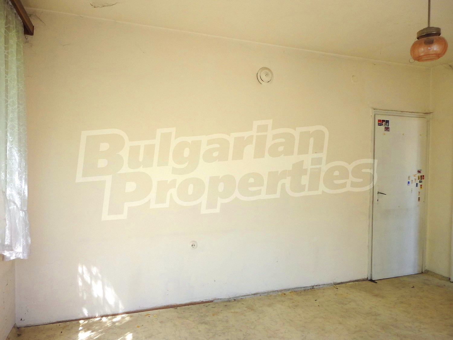 Gallery Picture 17