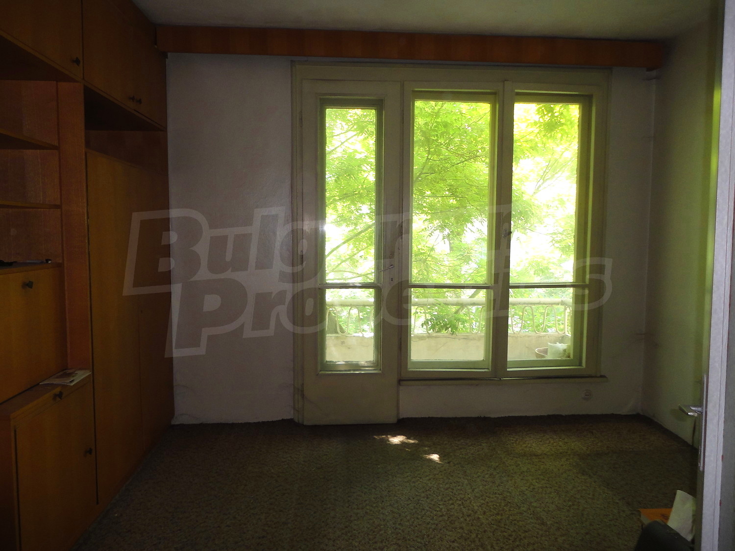 Gallery Picture 22