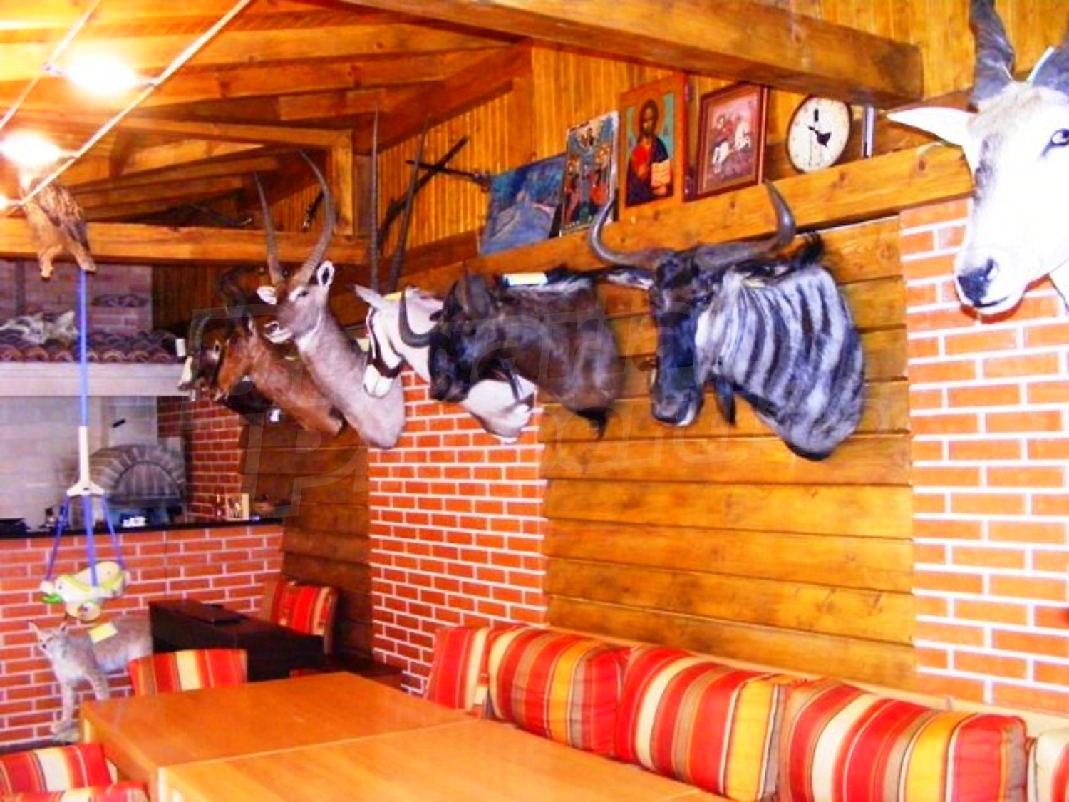 Gallery Picture 4