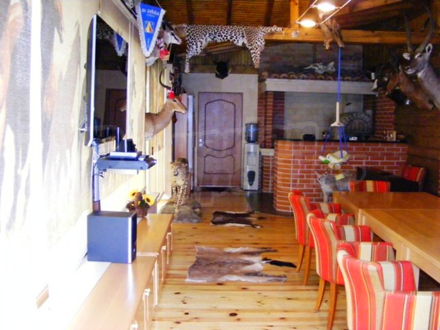 Gallery Picture 5