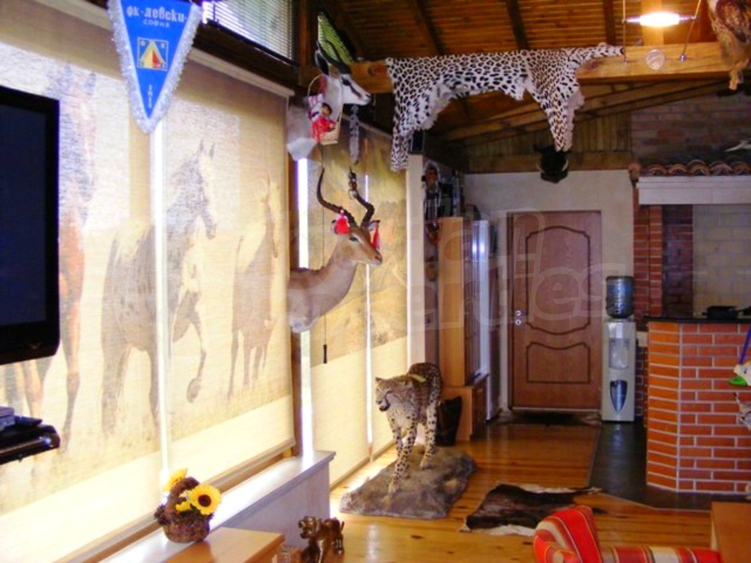 Gallery Picture 7