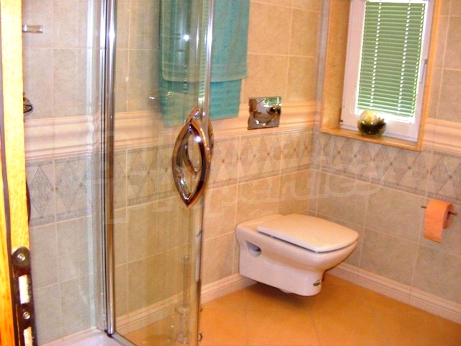 Gallery Picture 20