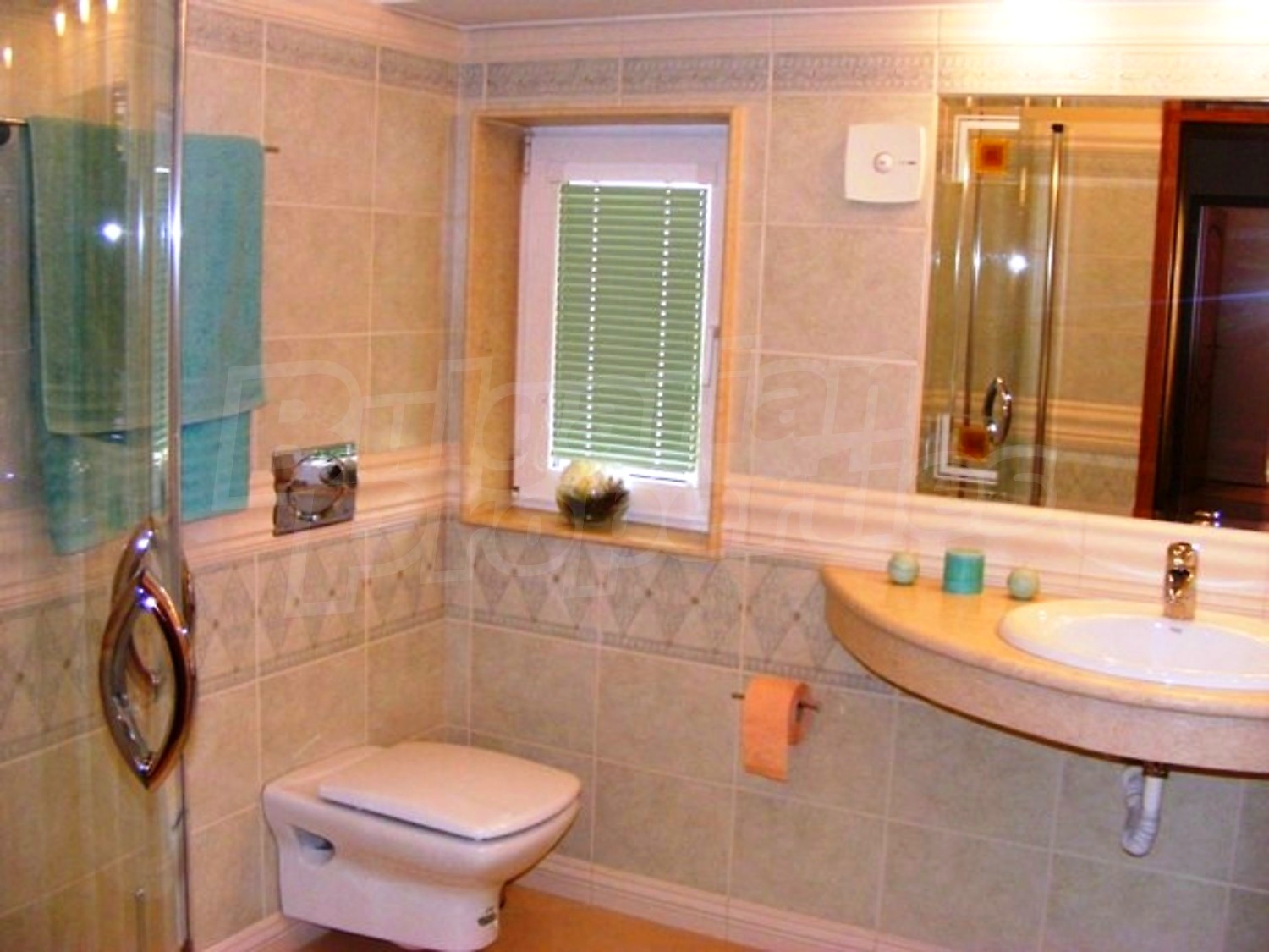Gallery Picture 21