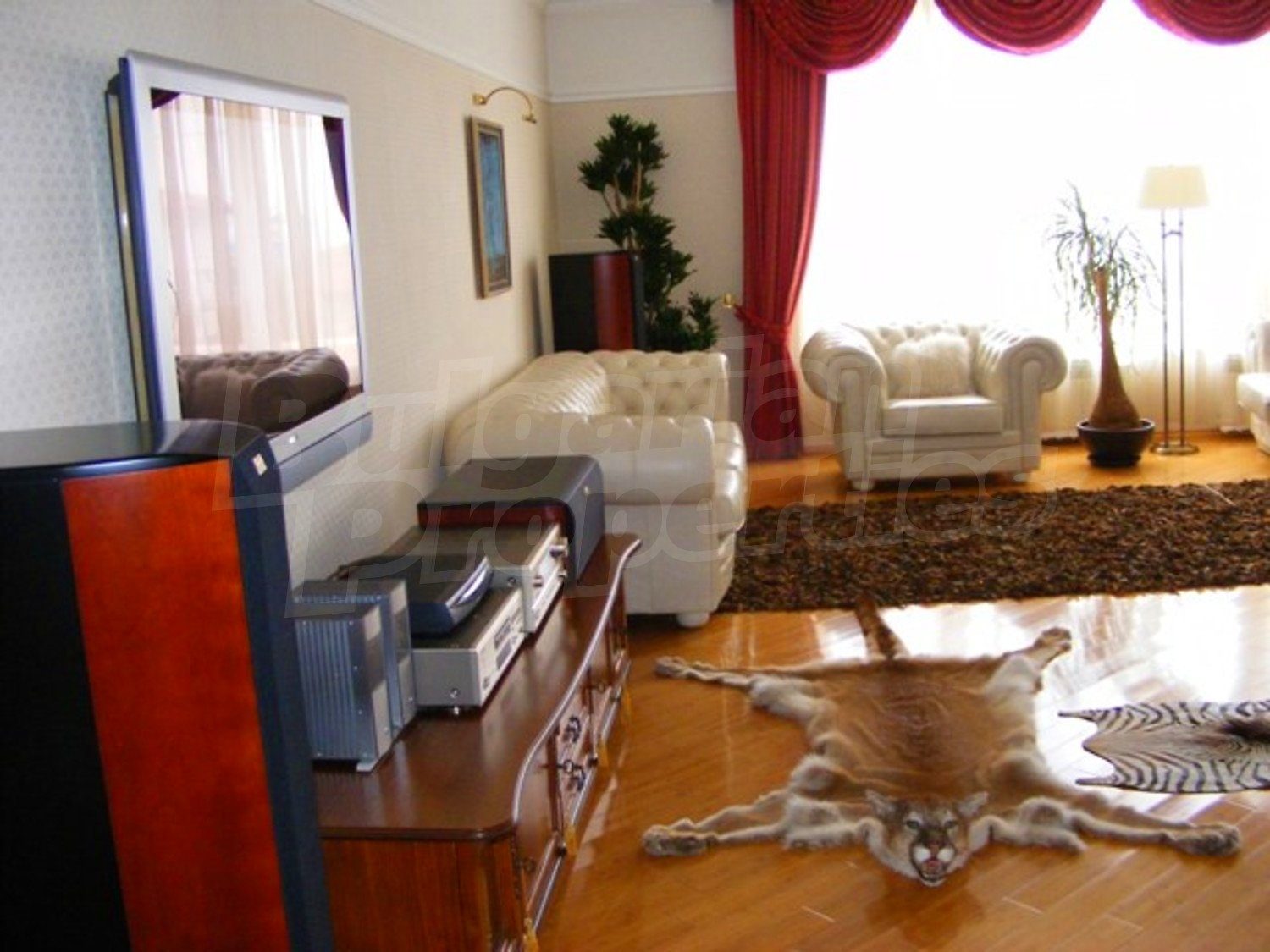 Gallery Picture 23