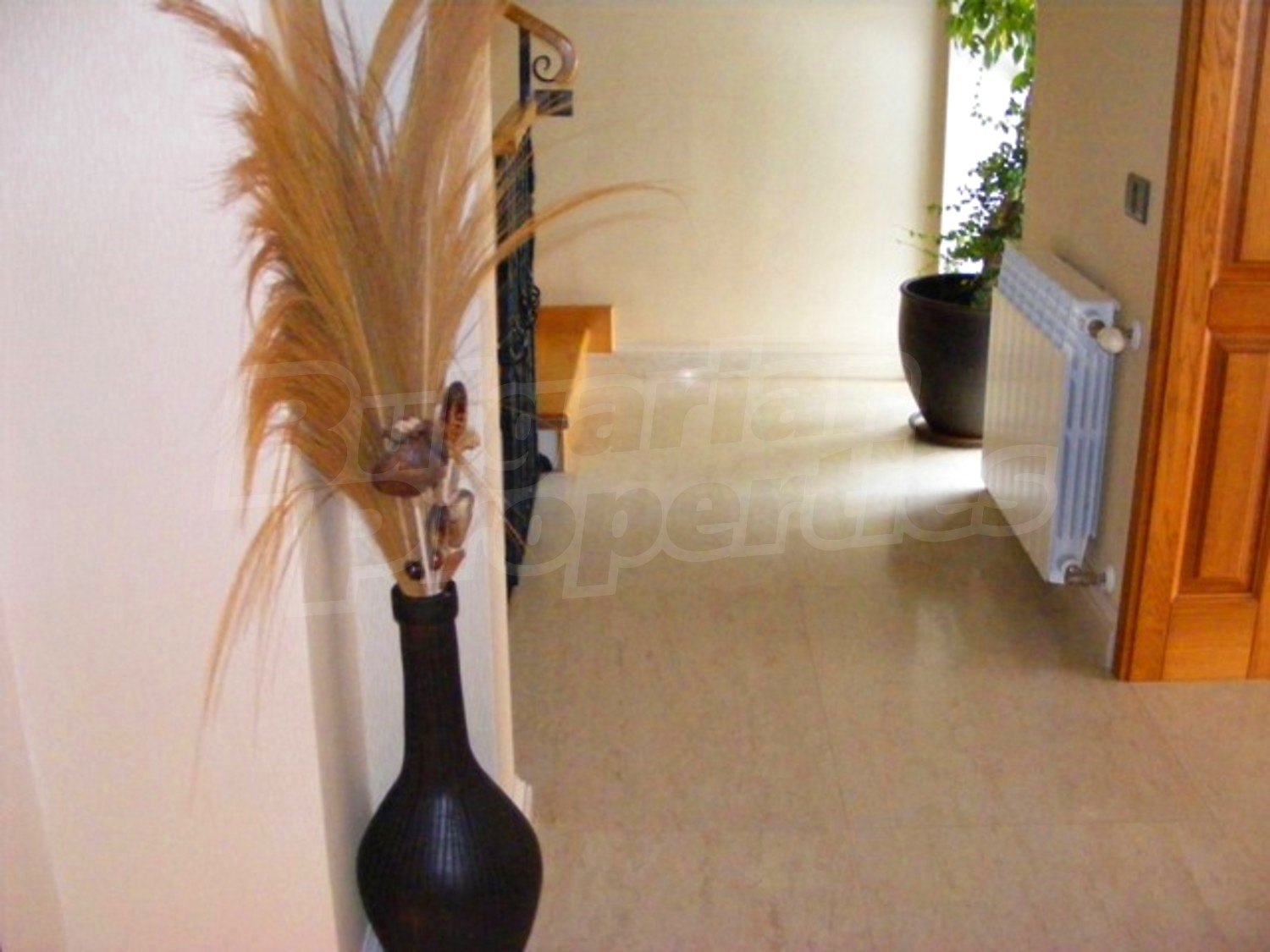 Gallery Picture 37