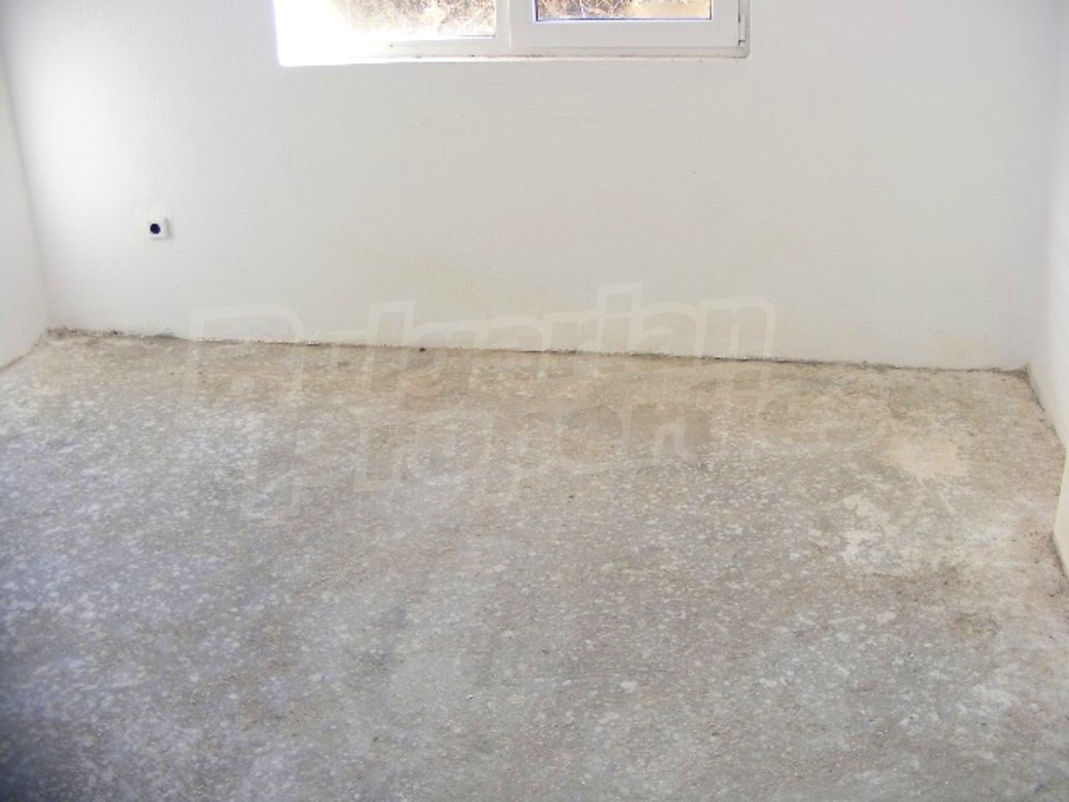 Gallery Picture 21