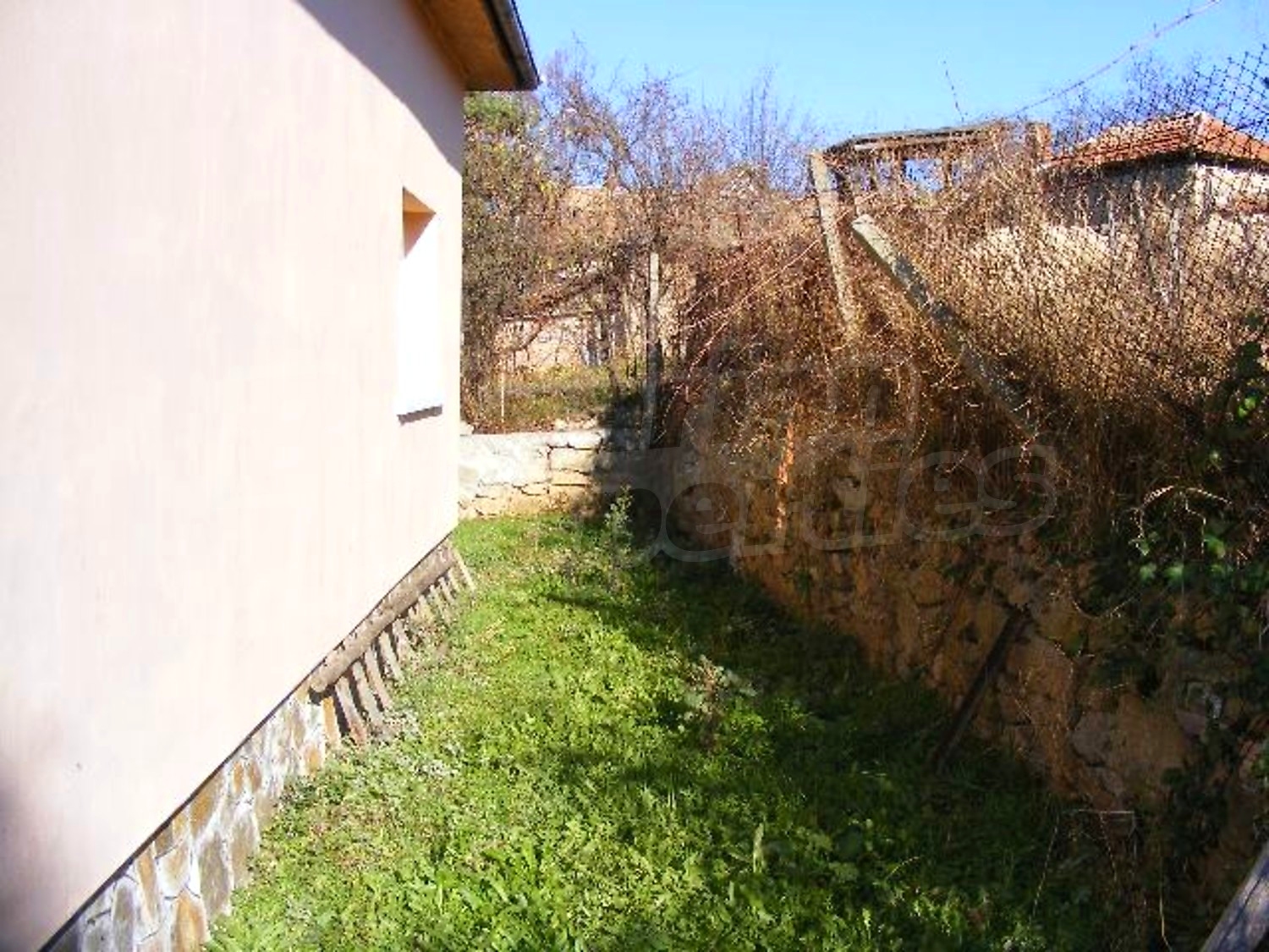 Gallery Picture 31